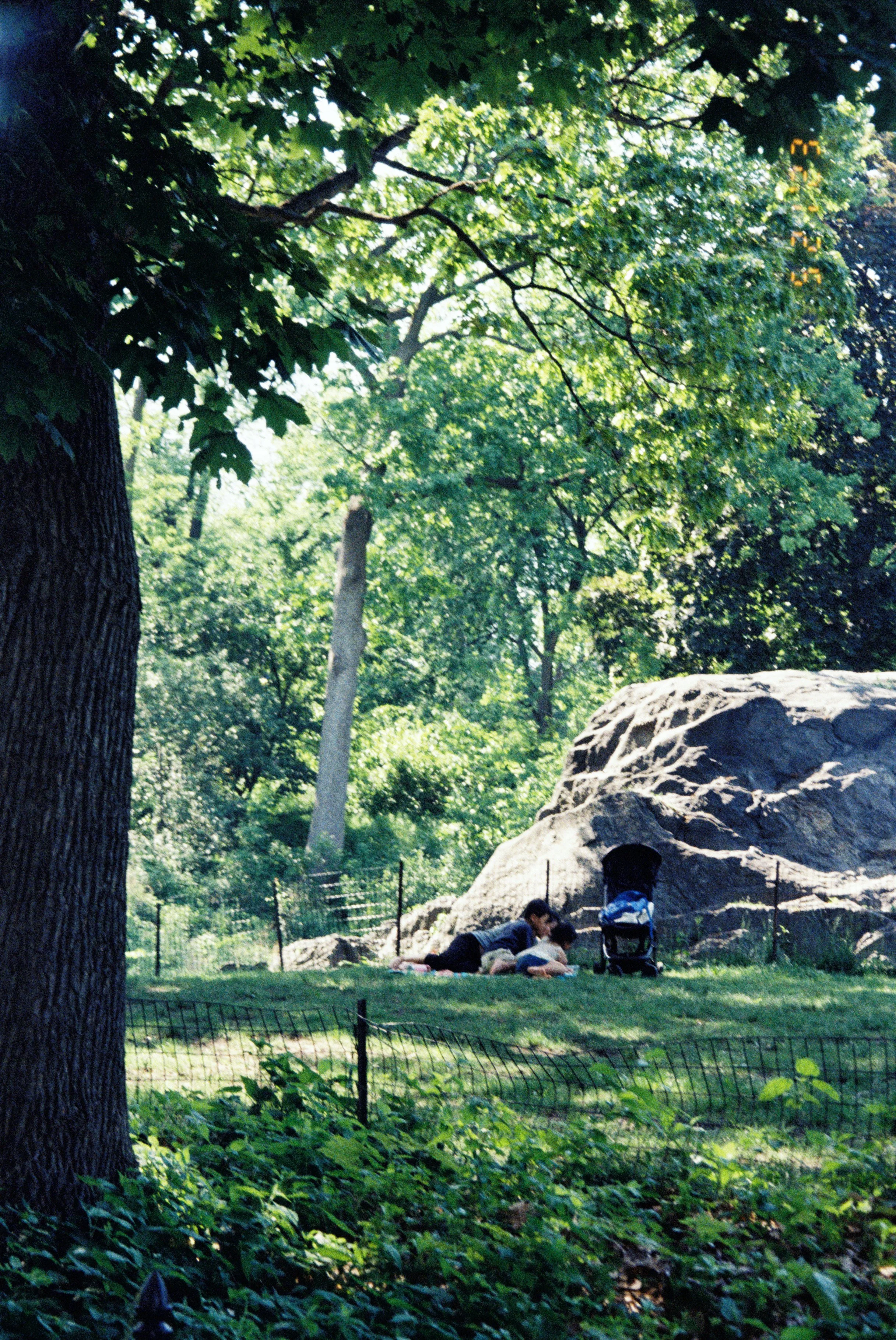 C000039.jpg