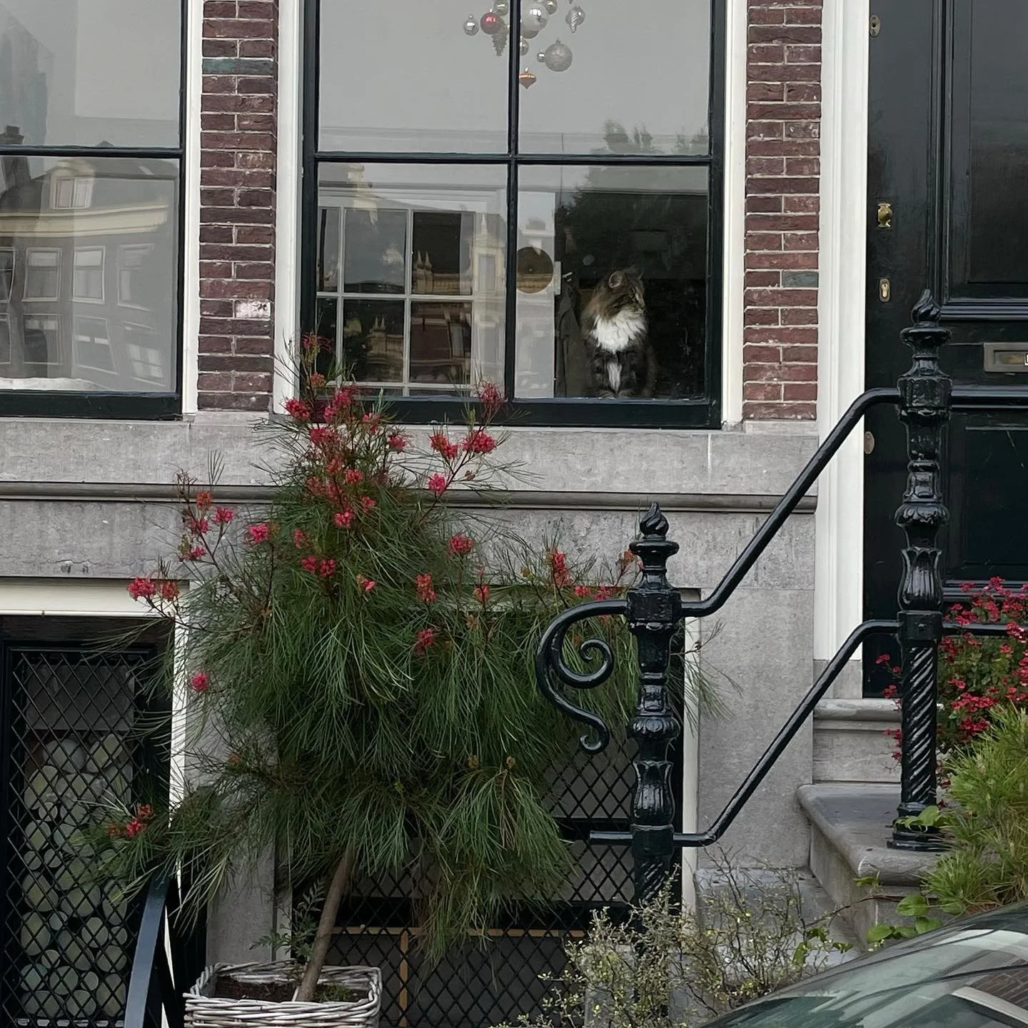 🌷 06/2023 - Aan de Amsterdamse Grachten
