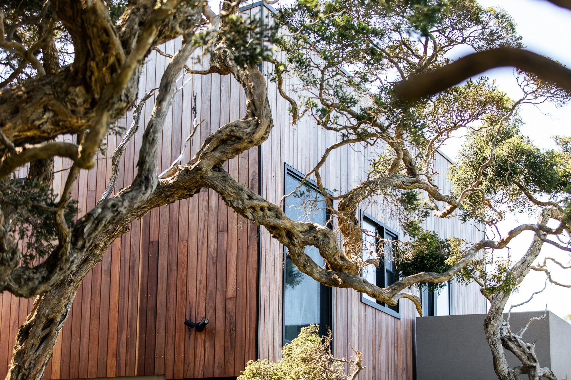 Specialist Carpentry Services