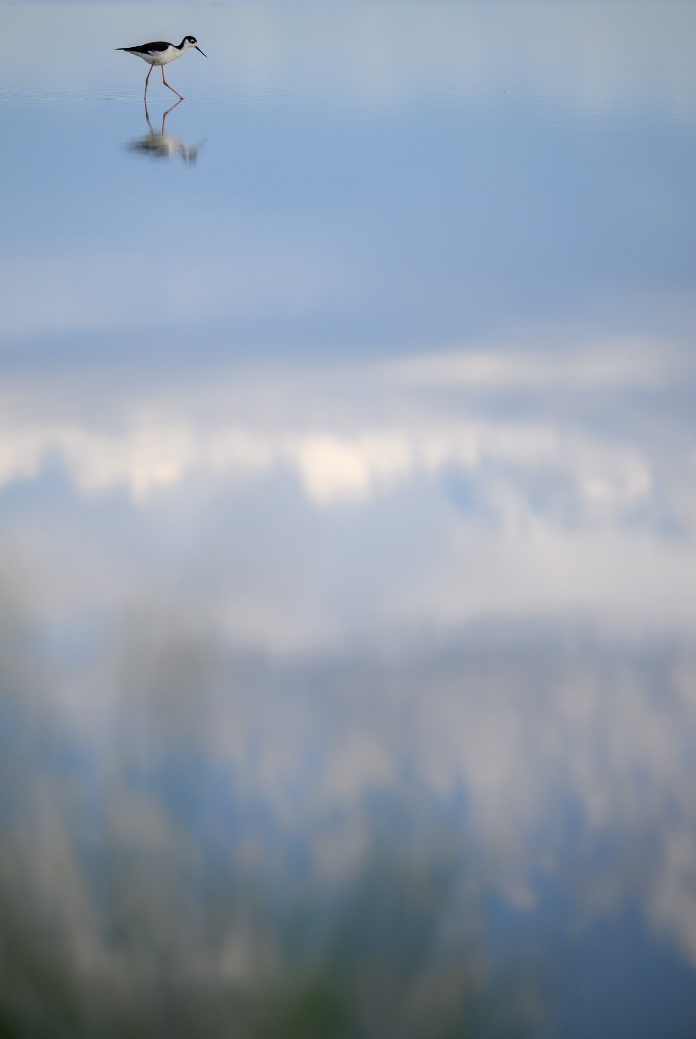 DSC_6230.jpg