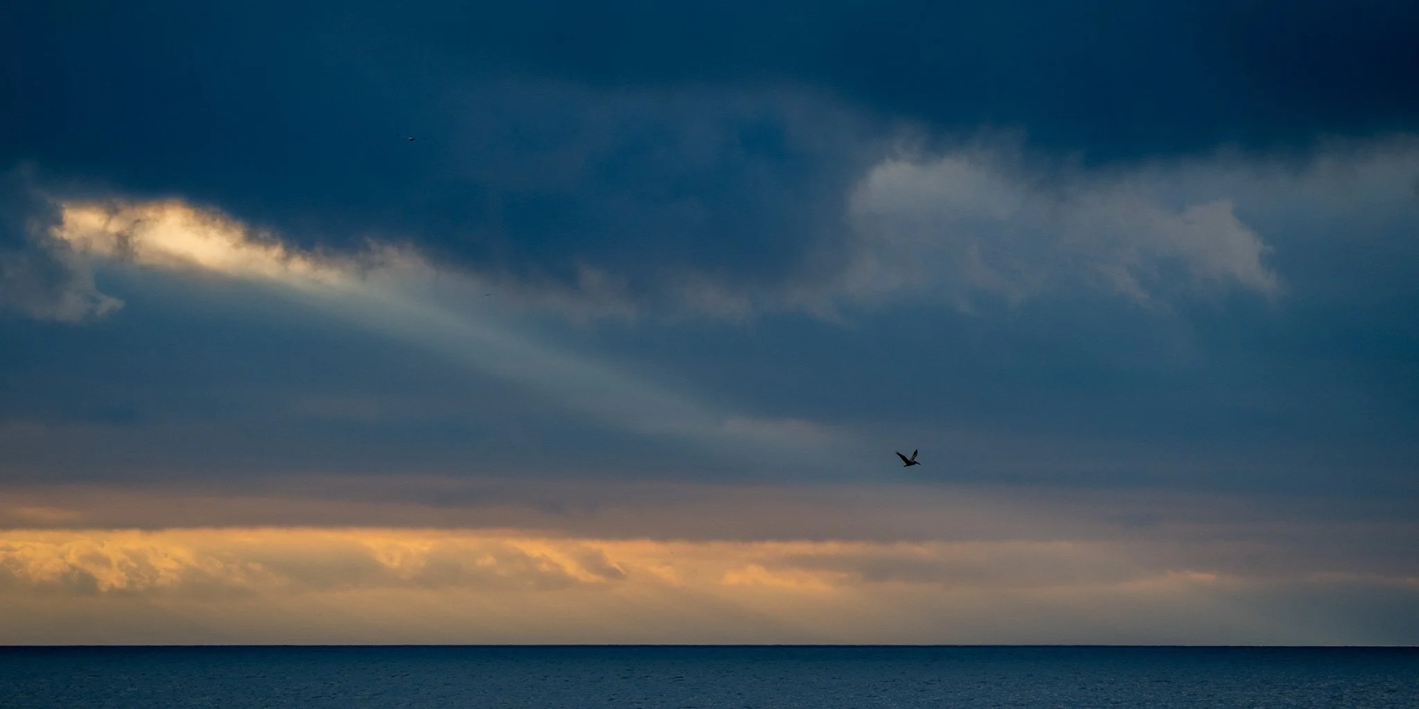 DSC_5866.jpg