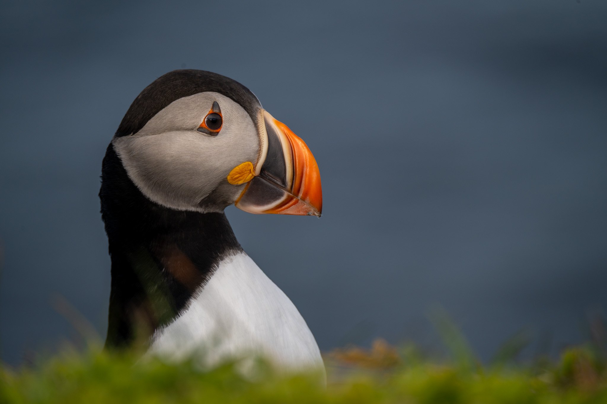 DSC_0914.jpg