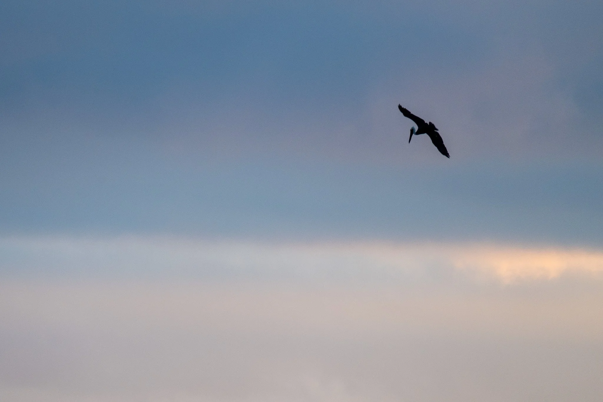 DSC_5786.jpg