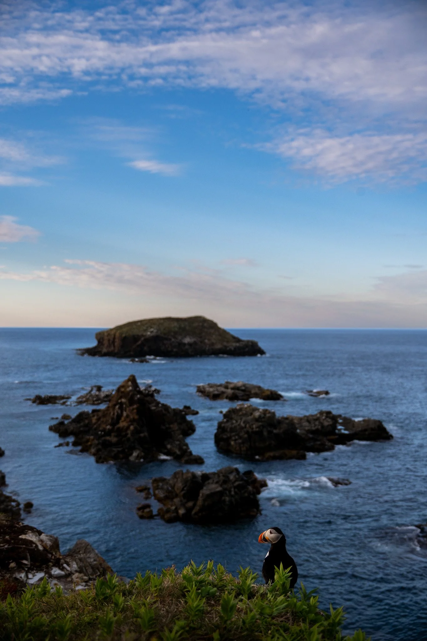 DSC_0990.jpg