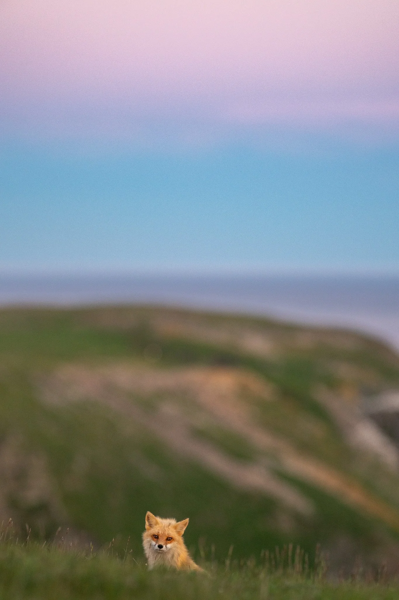 DSC_7306.jpg
