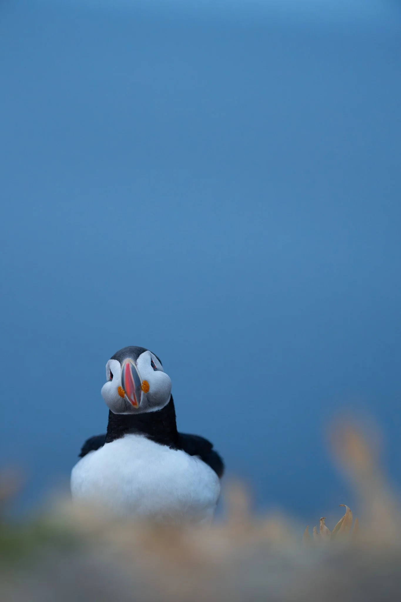 DSC_8443.jpg