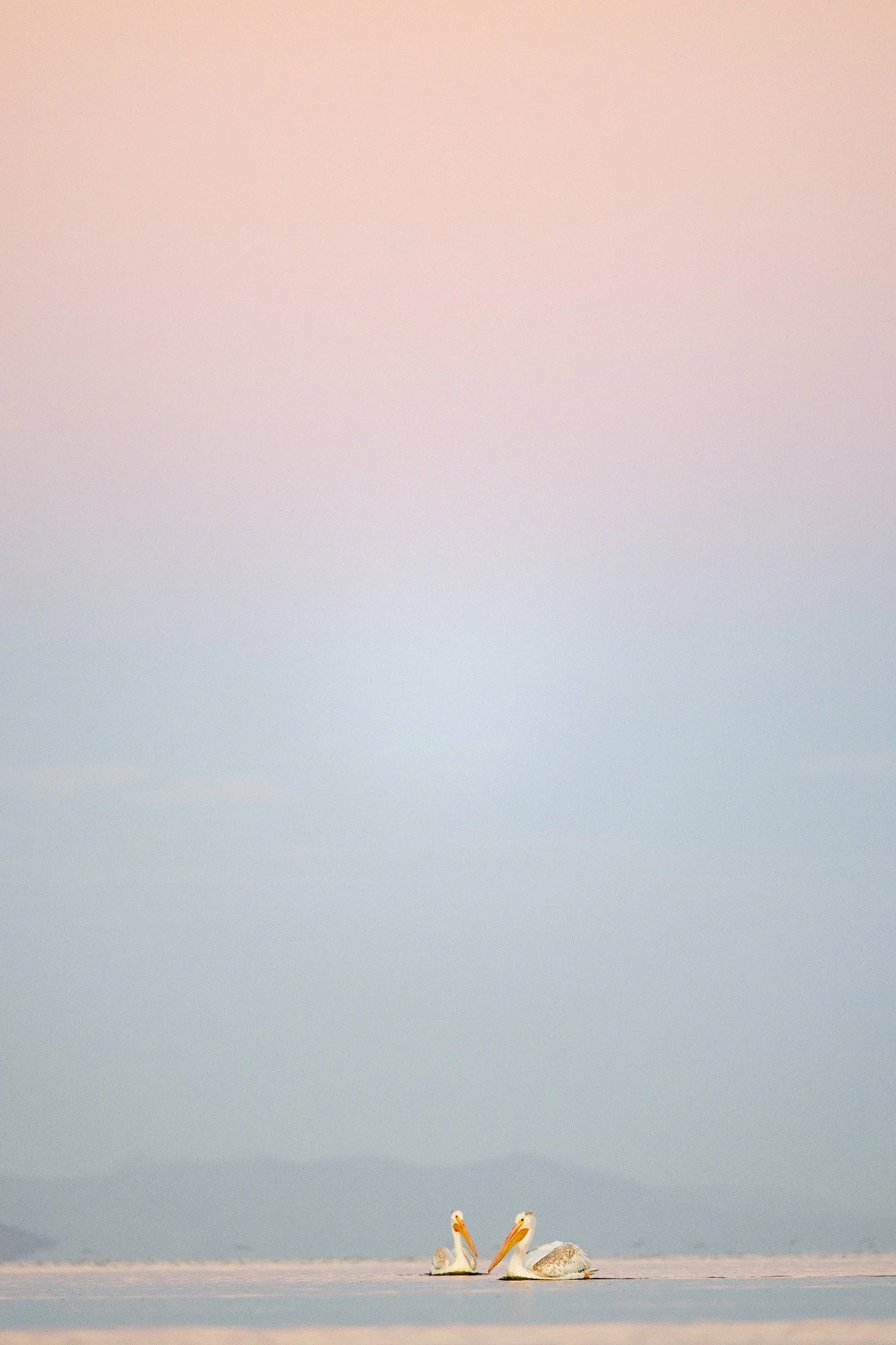 DSC_2404.jpg