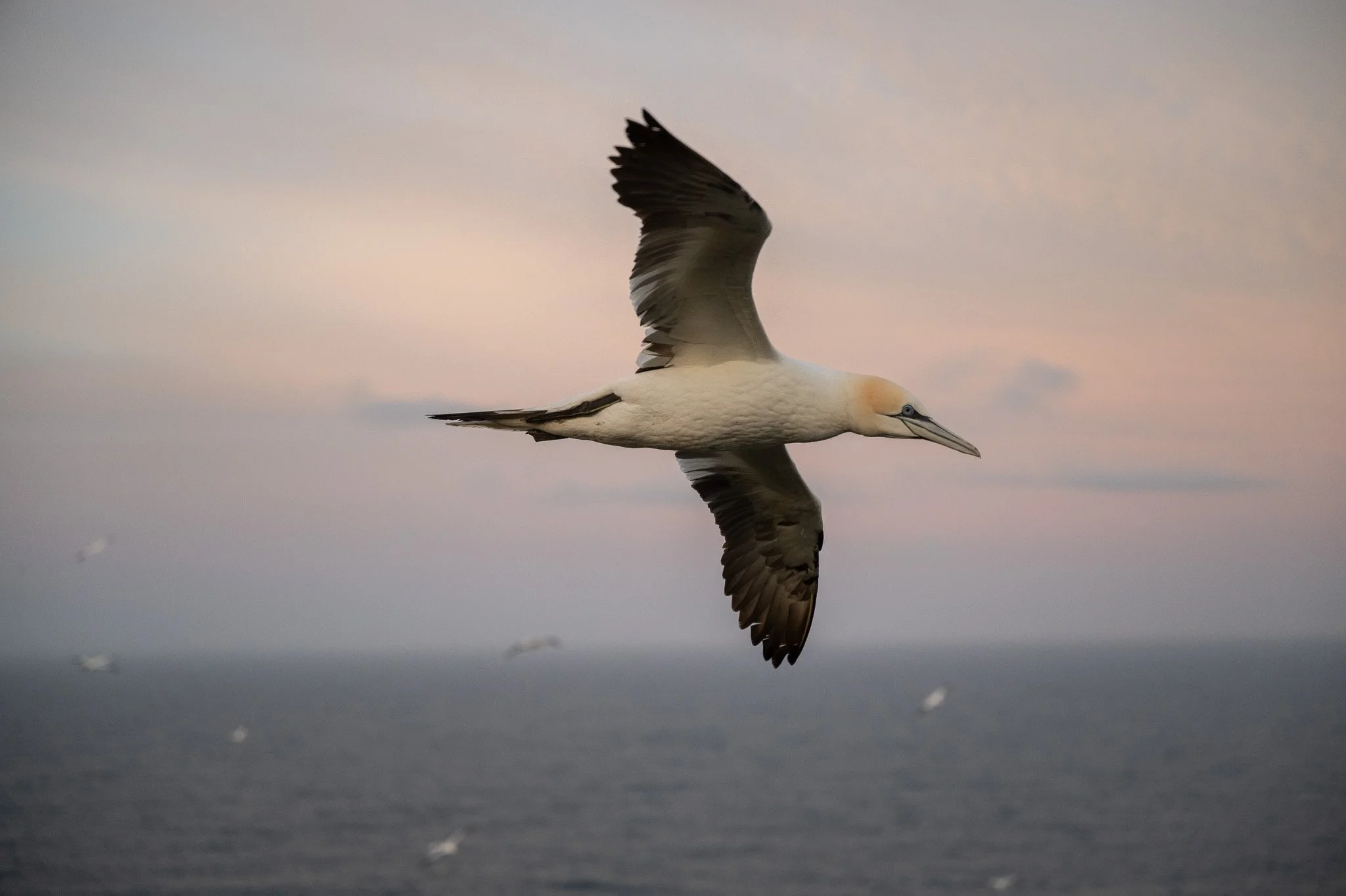 DSC_0519.jpg