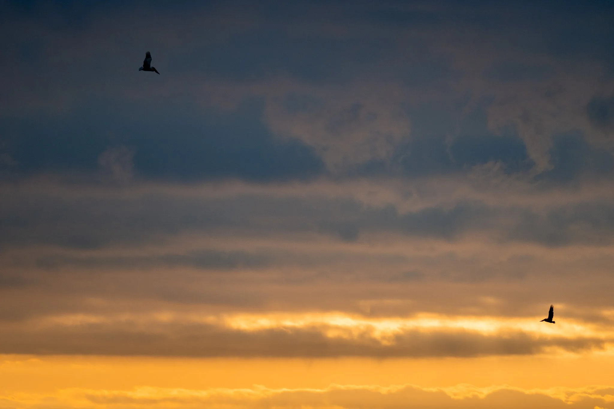 DSC_5837.jpg
