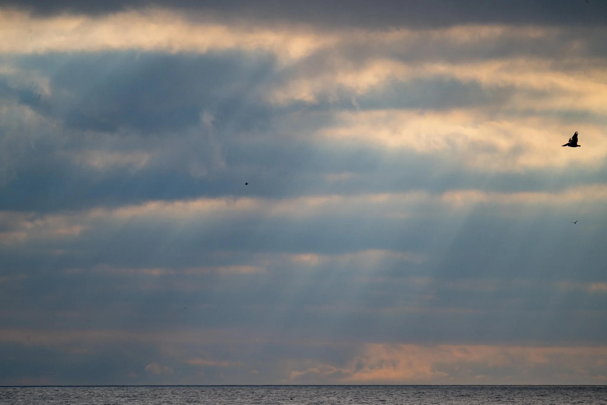 DSC_5971.jpg