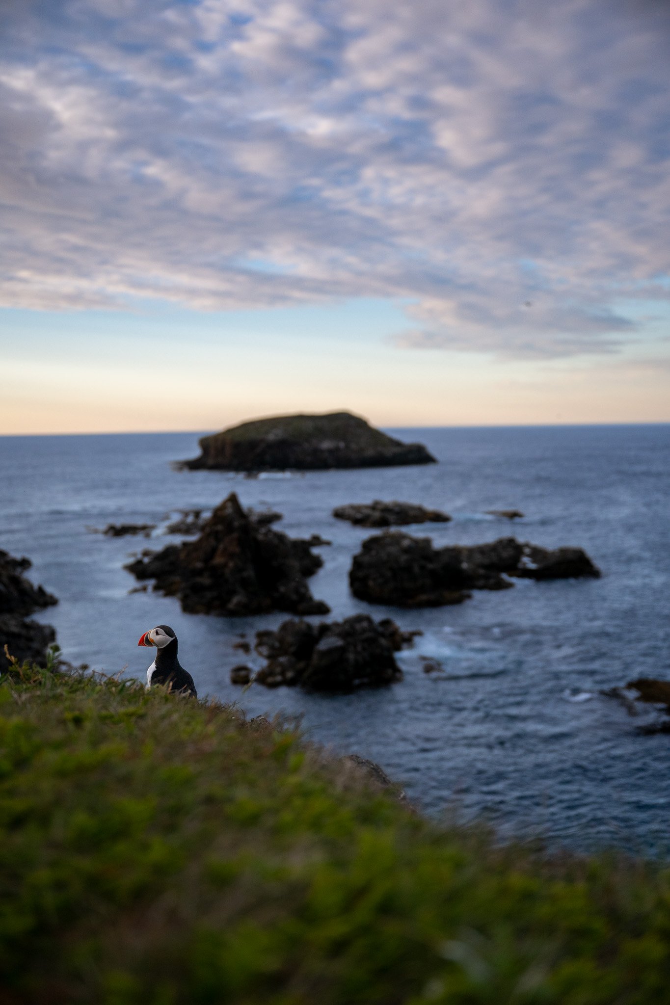 DSC_1184.jpg