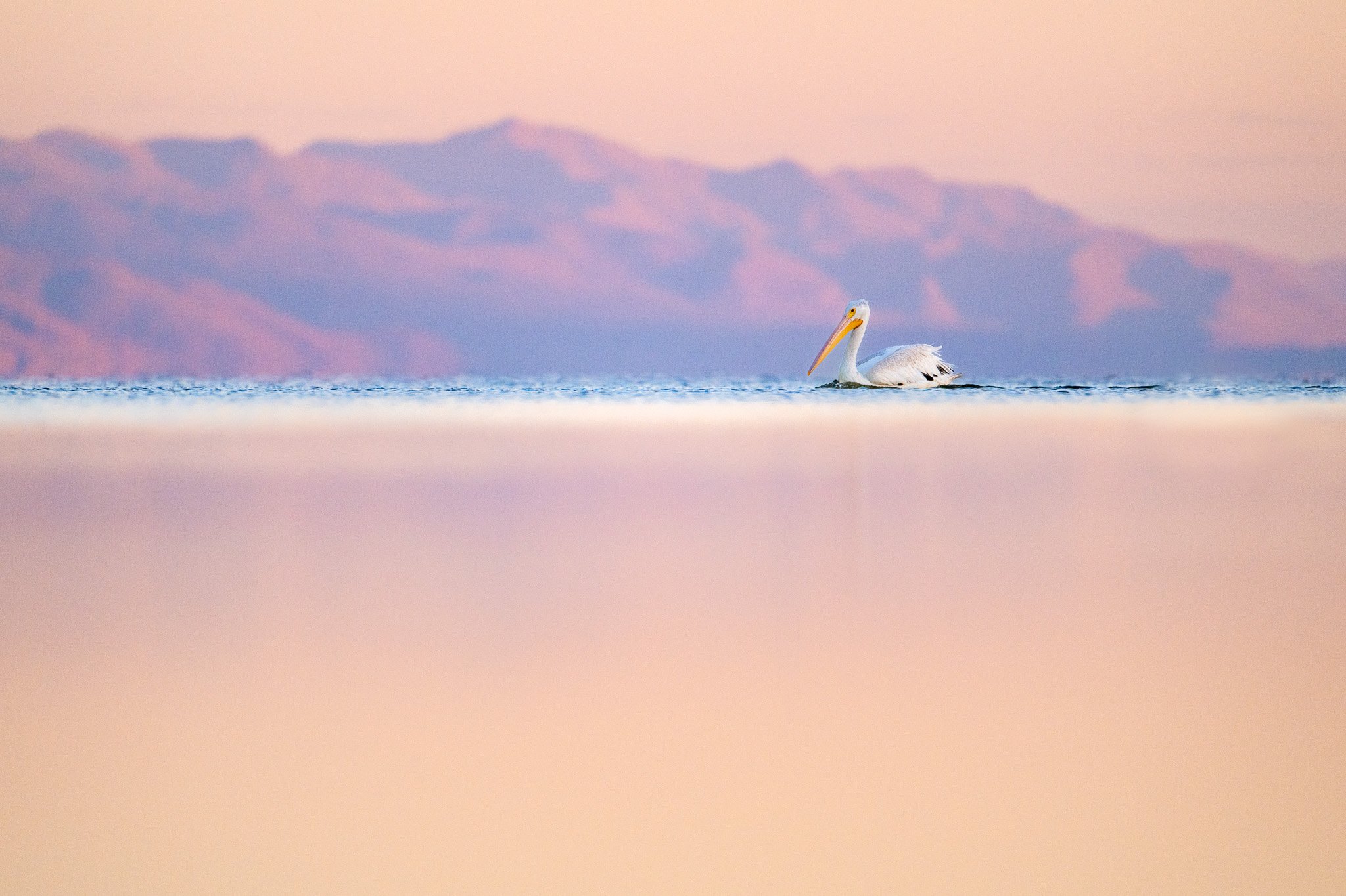 DSC_2587.jpg