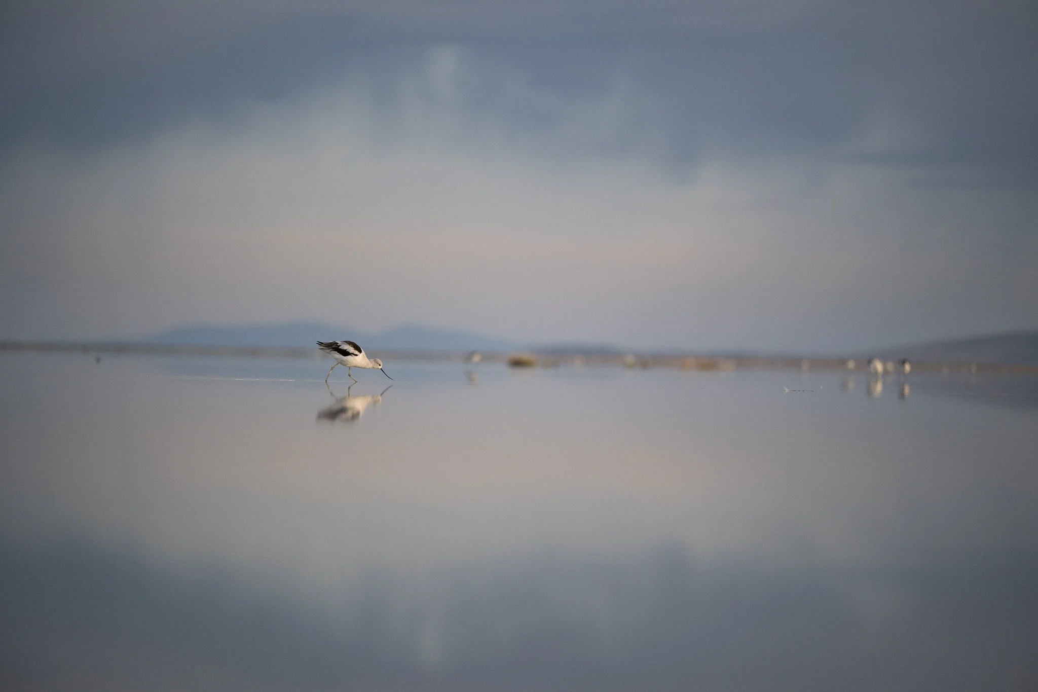 DSC_5709.jpg