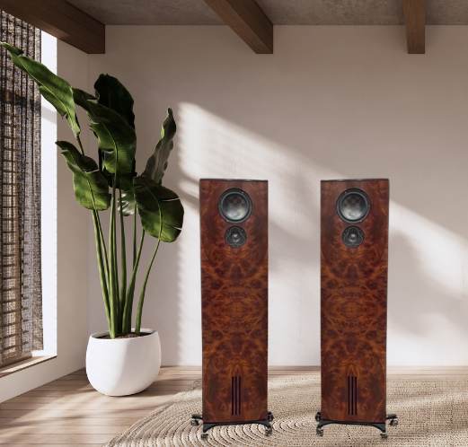 Innovo Partners with IsoAcoustics