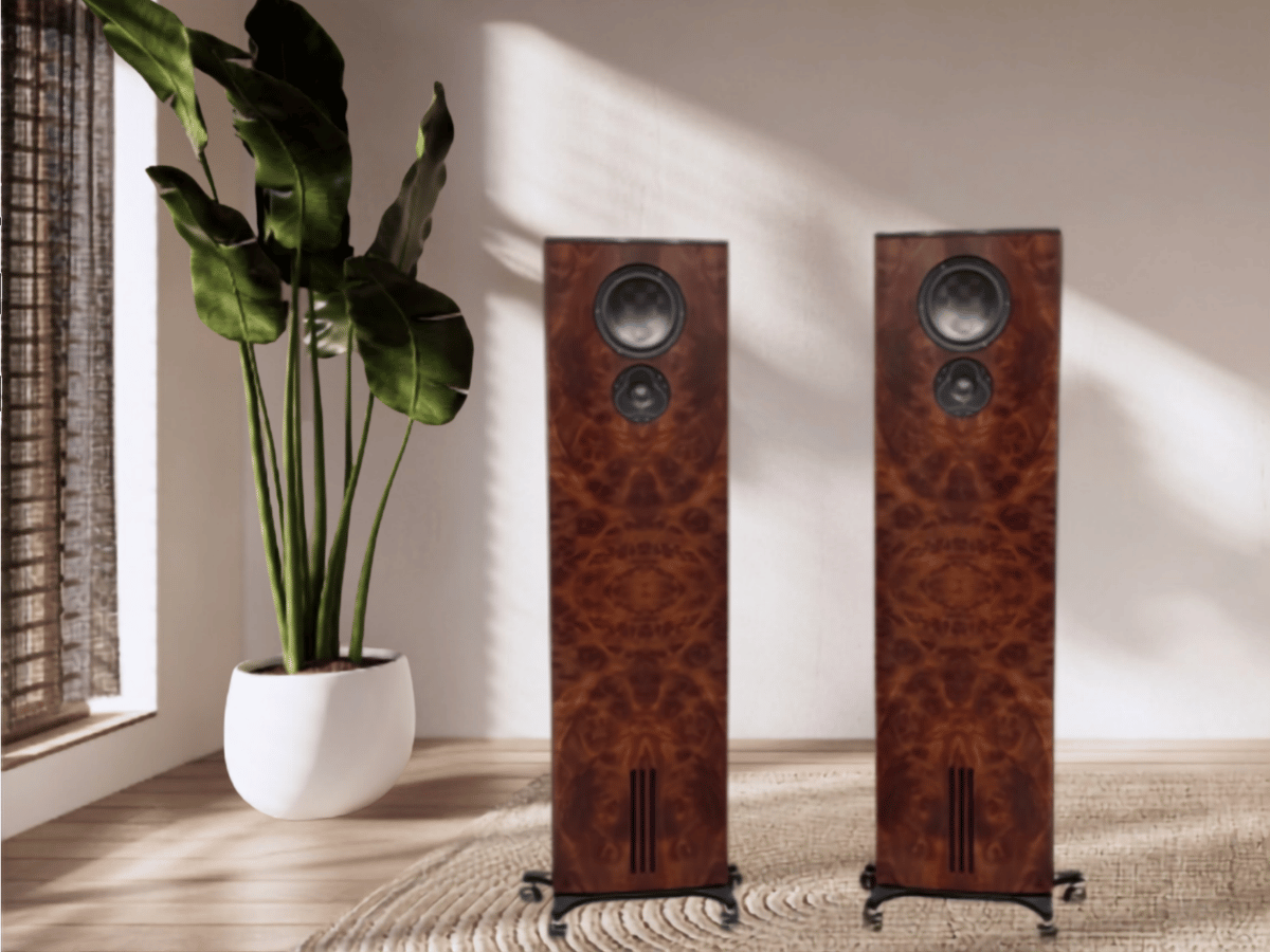 Innovo Partners with IsoAcoustics