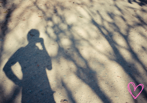 What is the Shadow?