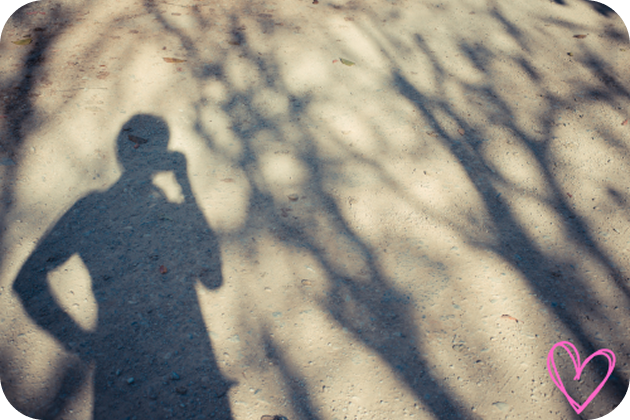 What is the Shadow?