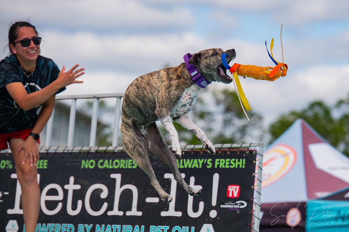 Dock Diving Event