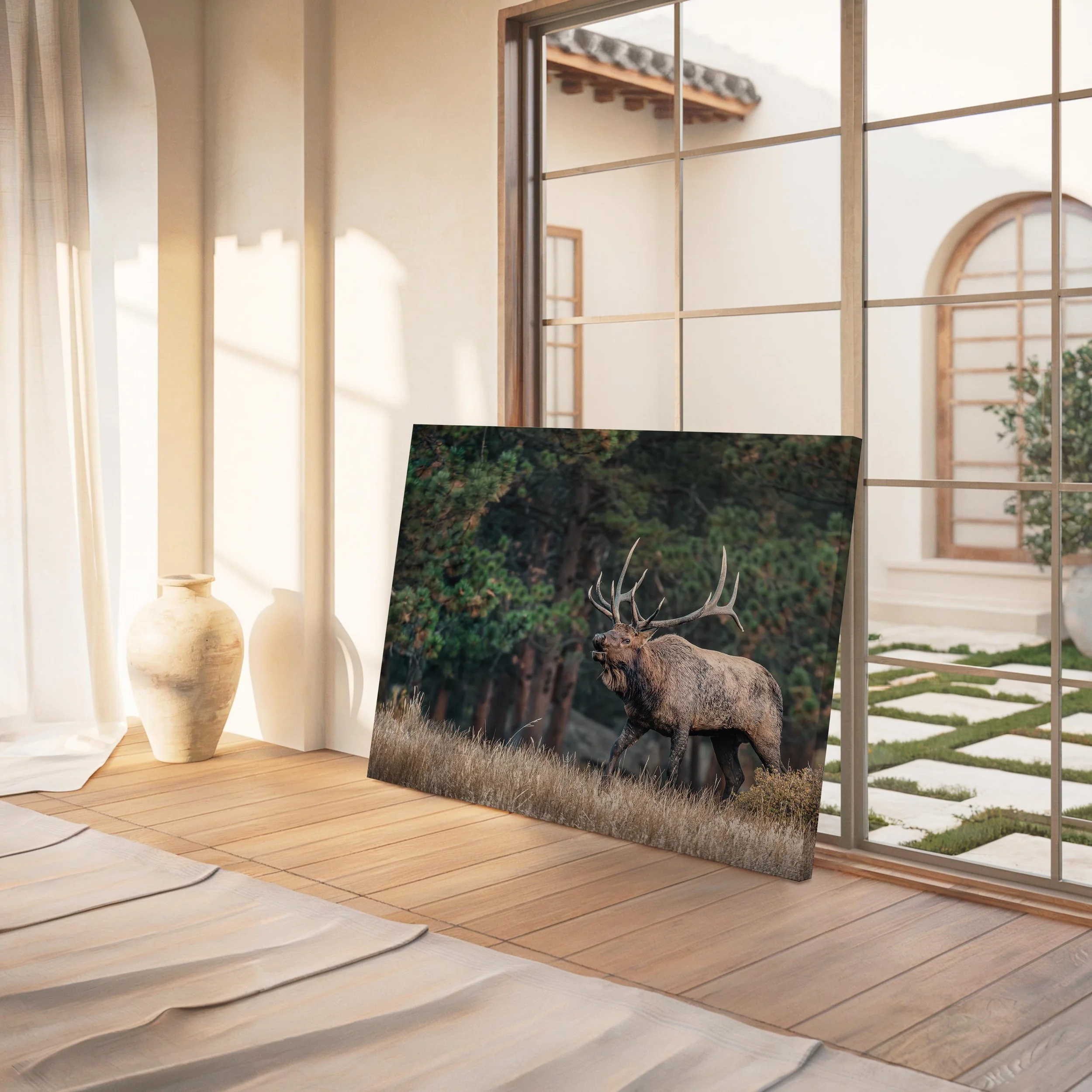 Bull elk 5-4.jpg
