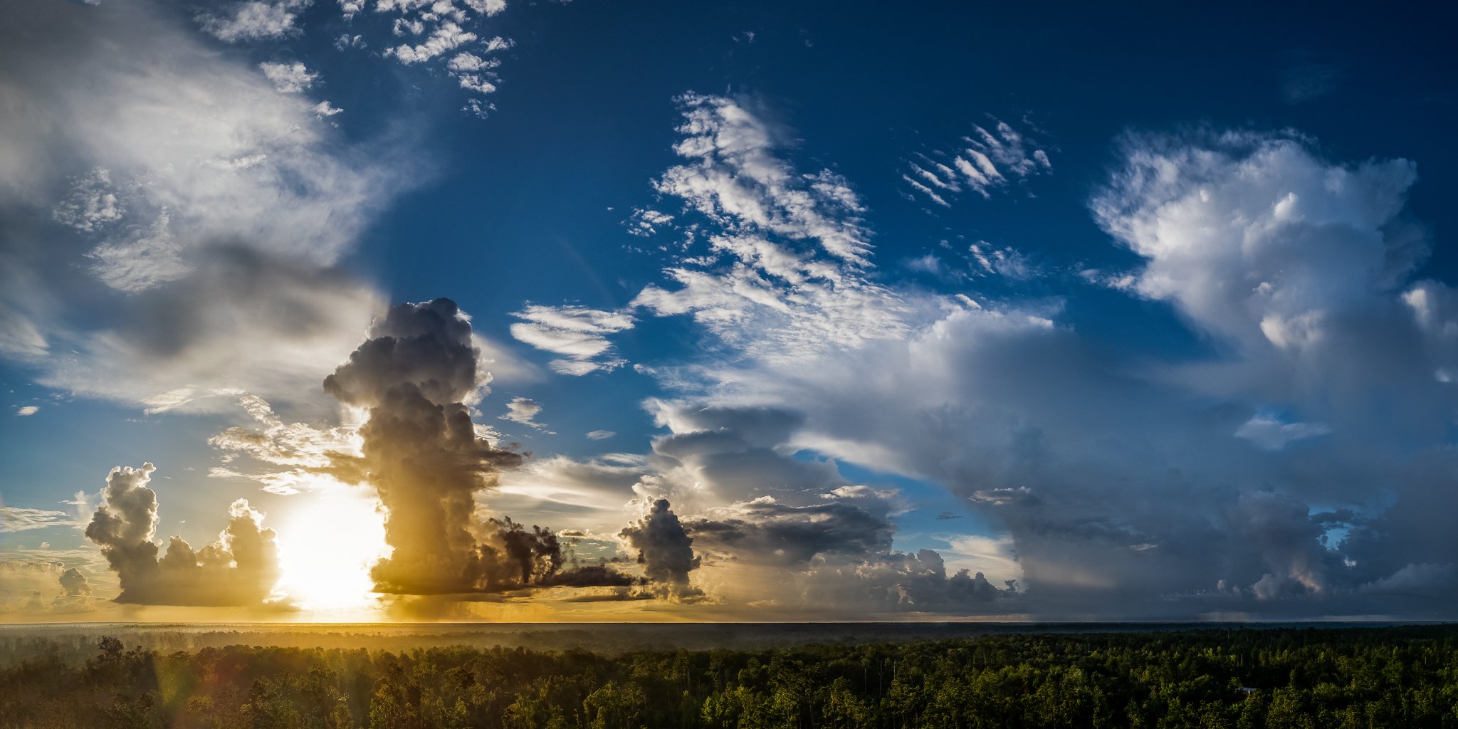 Aerial view over dense pine forest during a spectacular sunset with fading thunderstorms in panhandle Florida