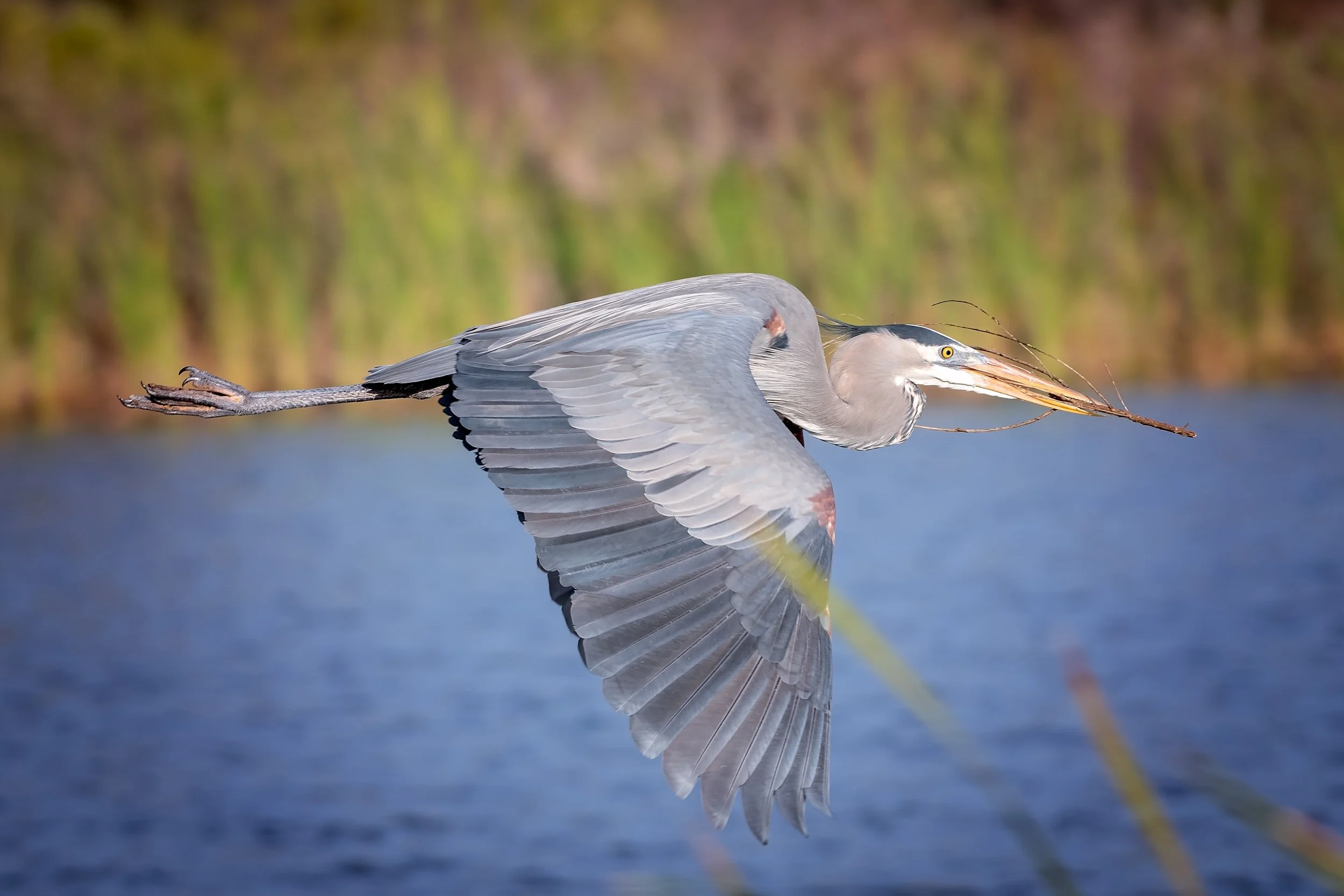 1219 gbh in flight with stick-1.jpg