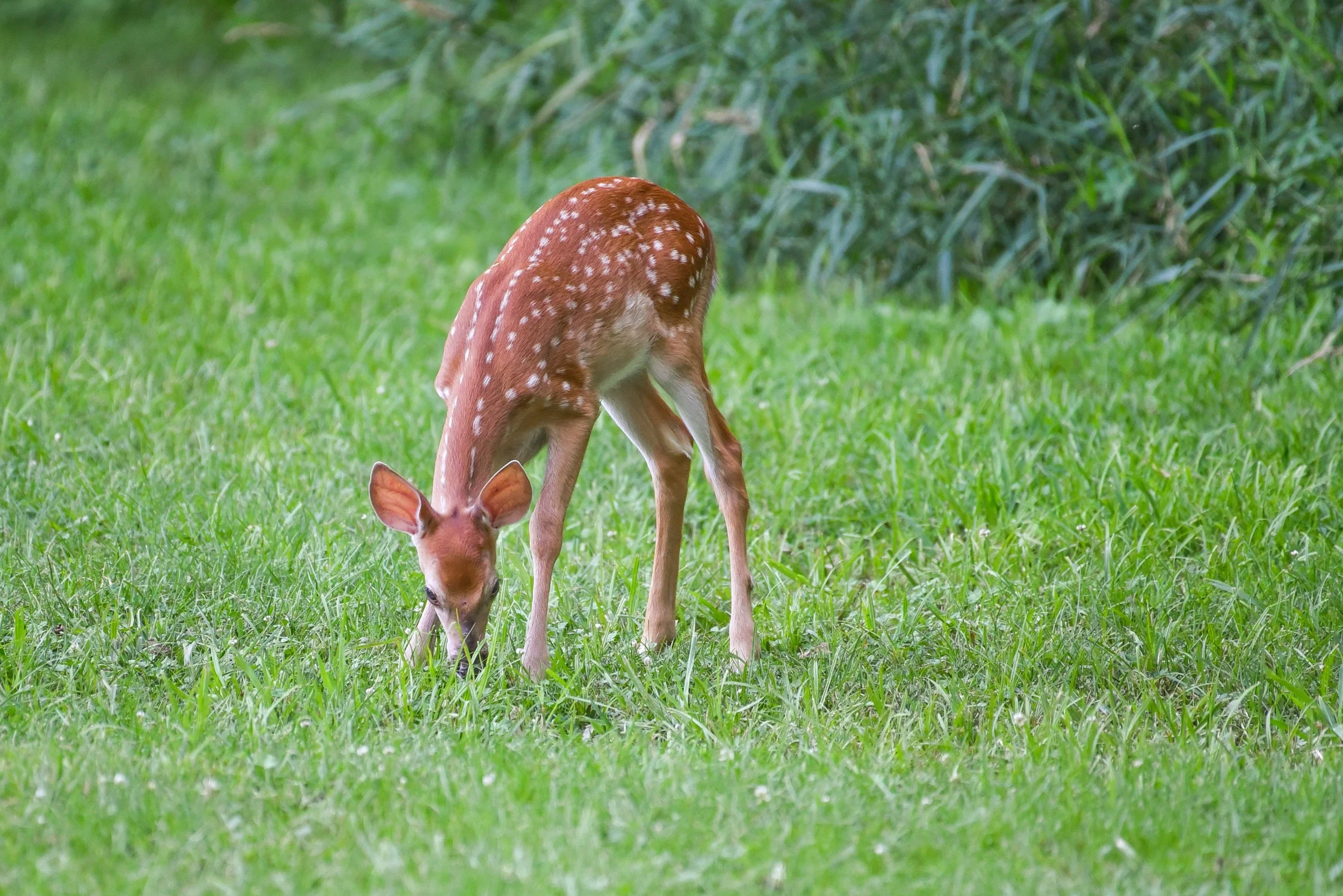 0909untitled-5679-Edit2016.jpg