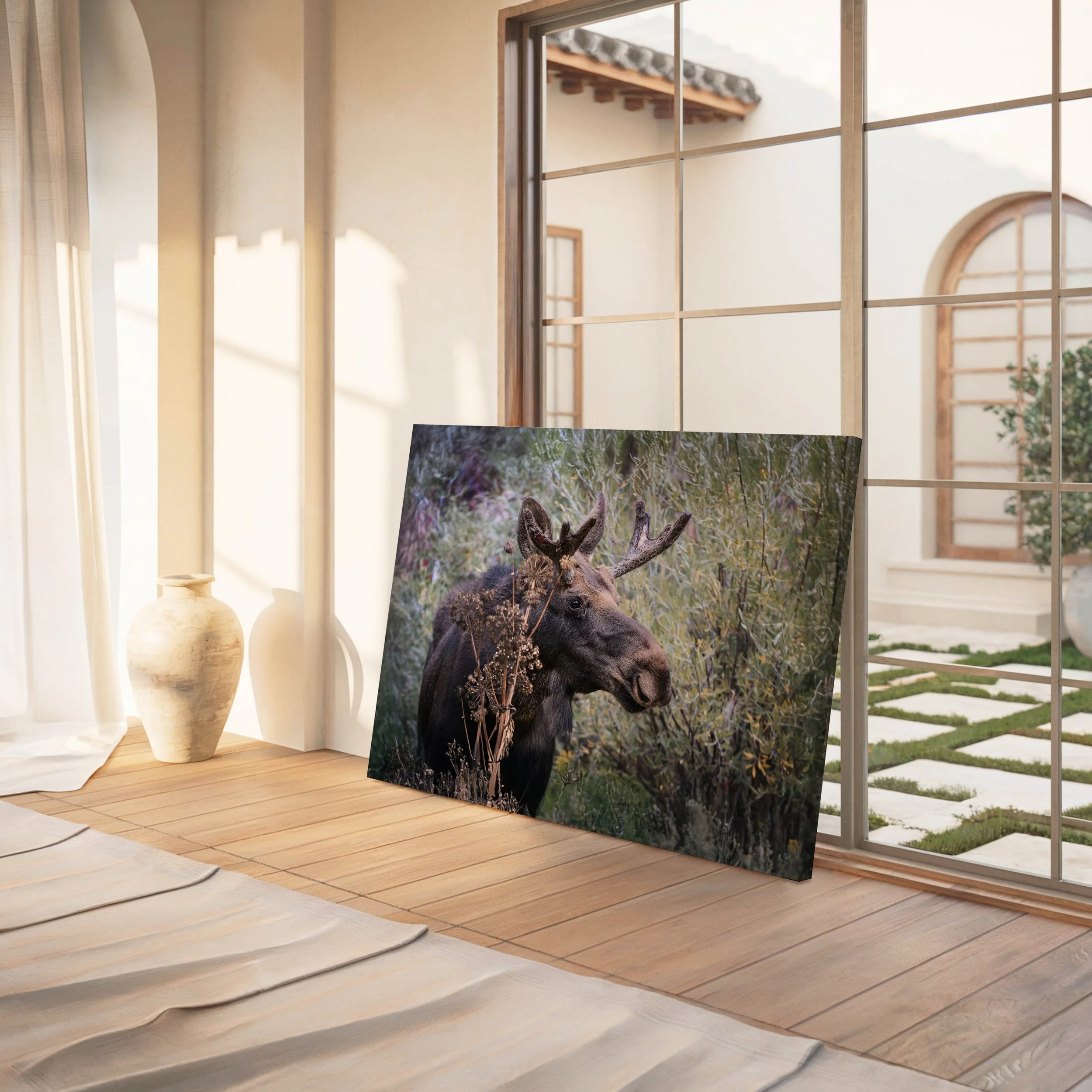 moose canvas.jpg