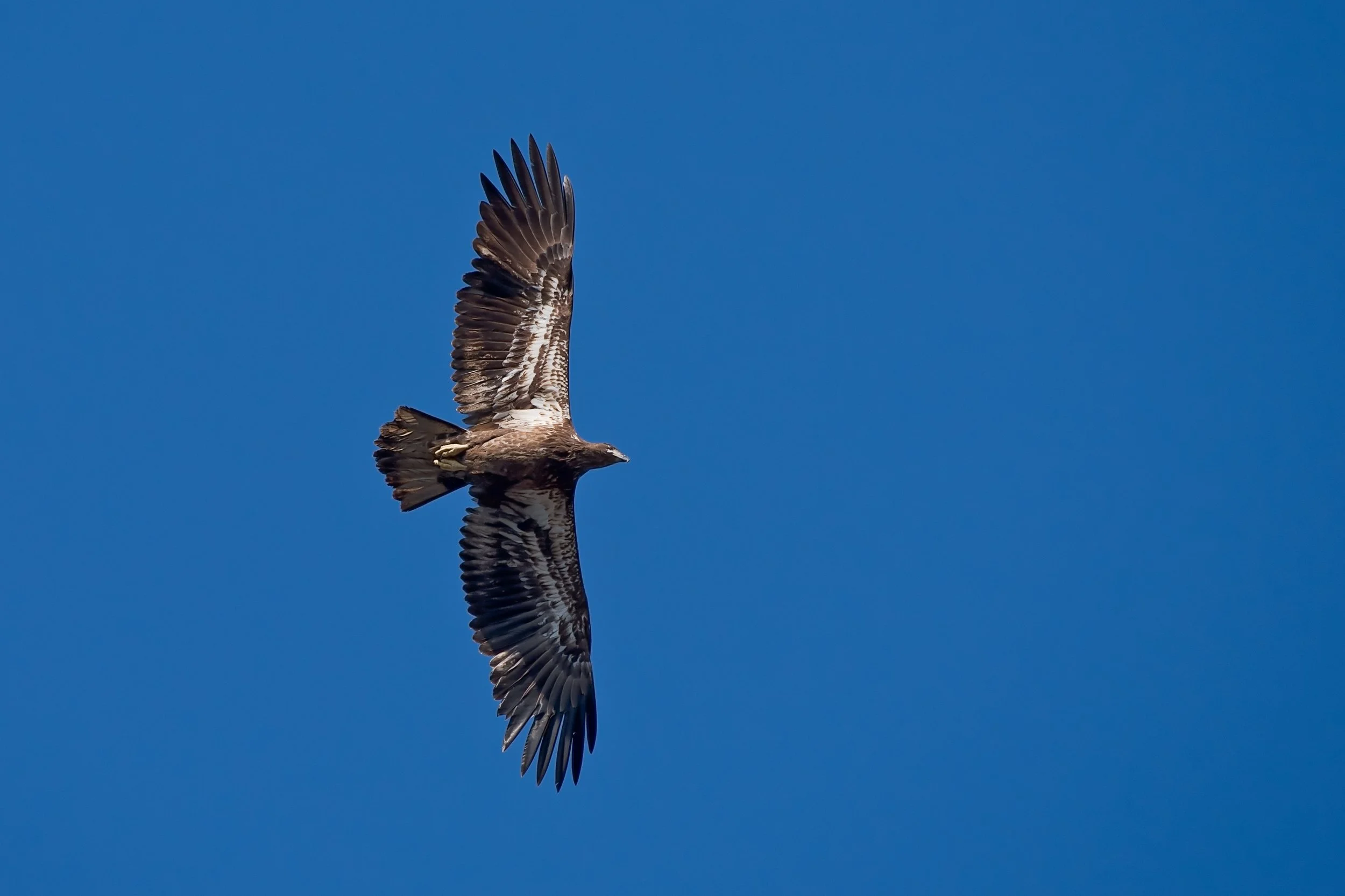0313-Florida-0023-Edit2016.jpg