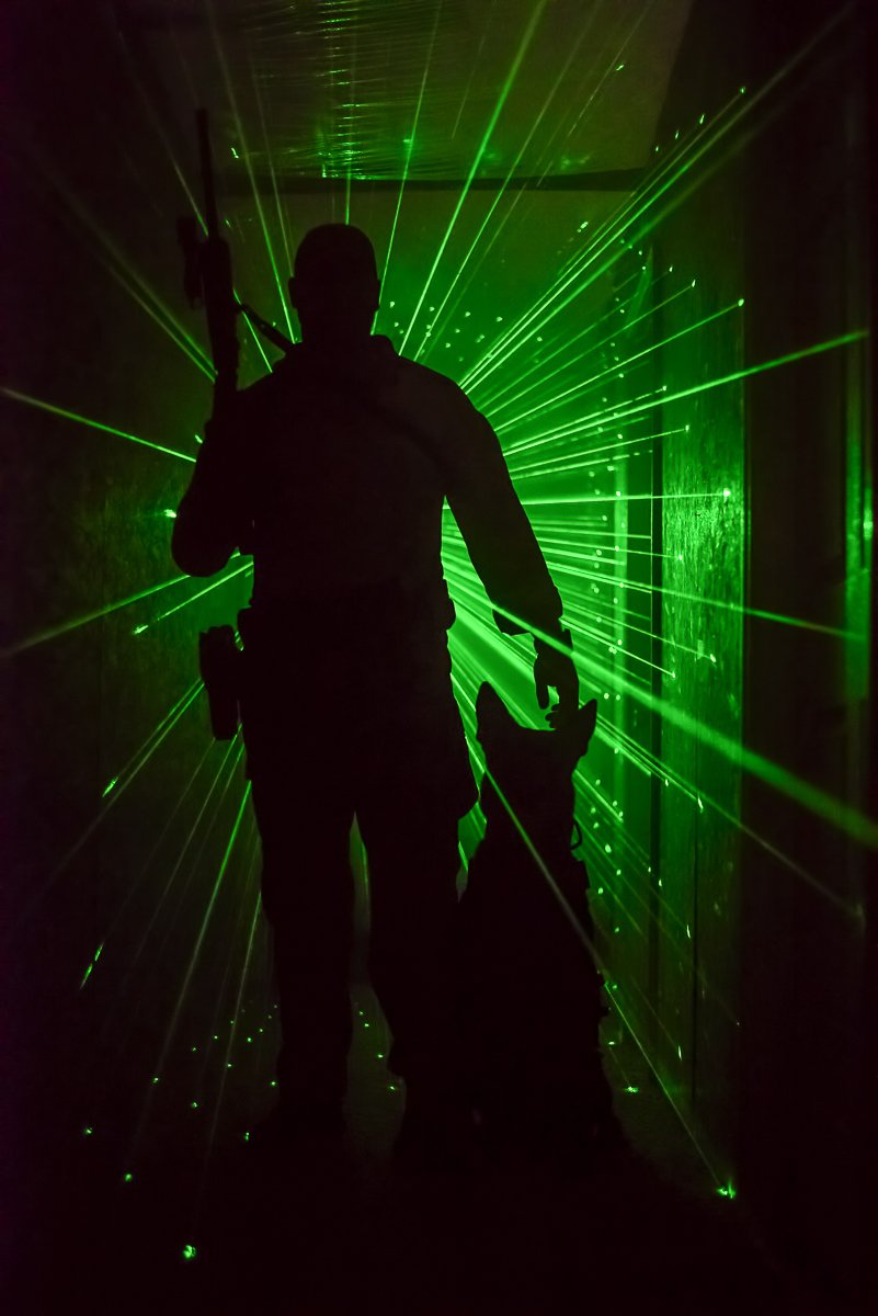 K9 training done in a club type atmosphere