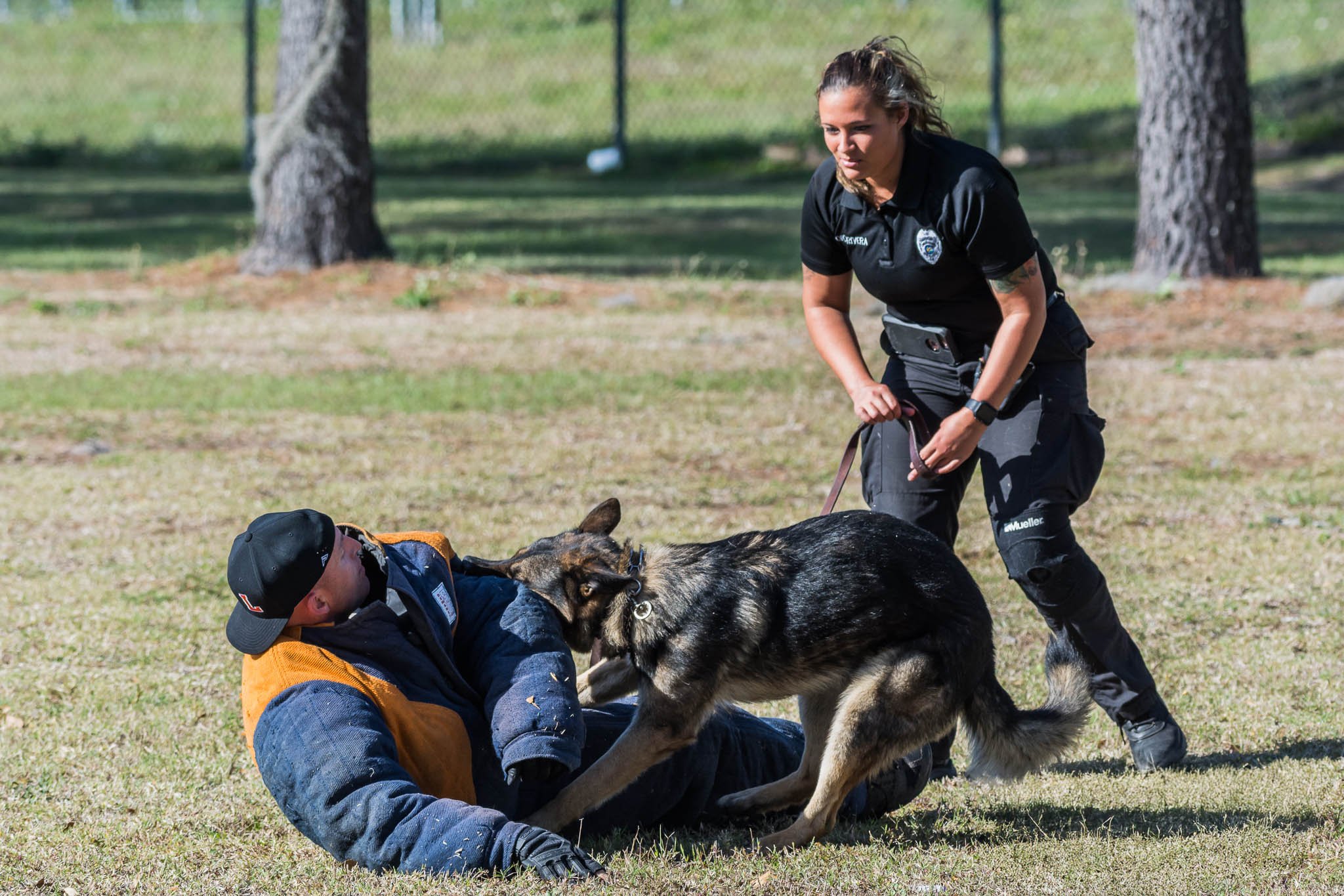 Polk County Florida Sheriff Department Training