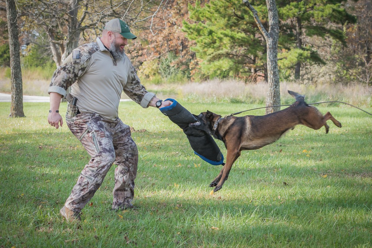 K9 trainer releasing a bite sleeve after bite work training