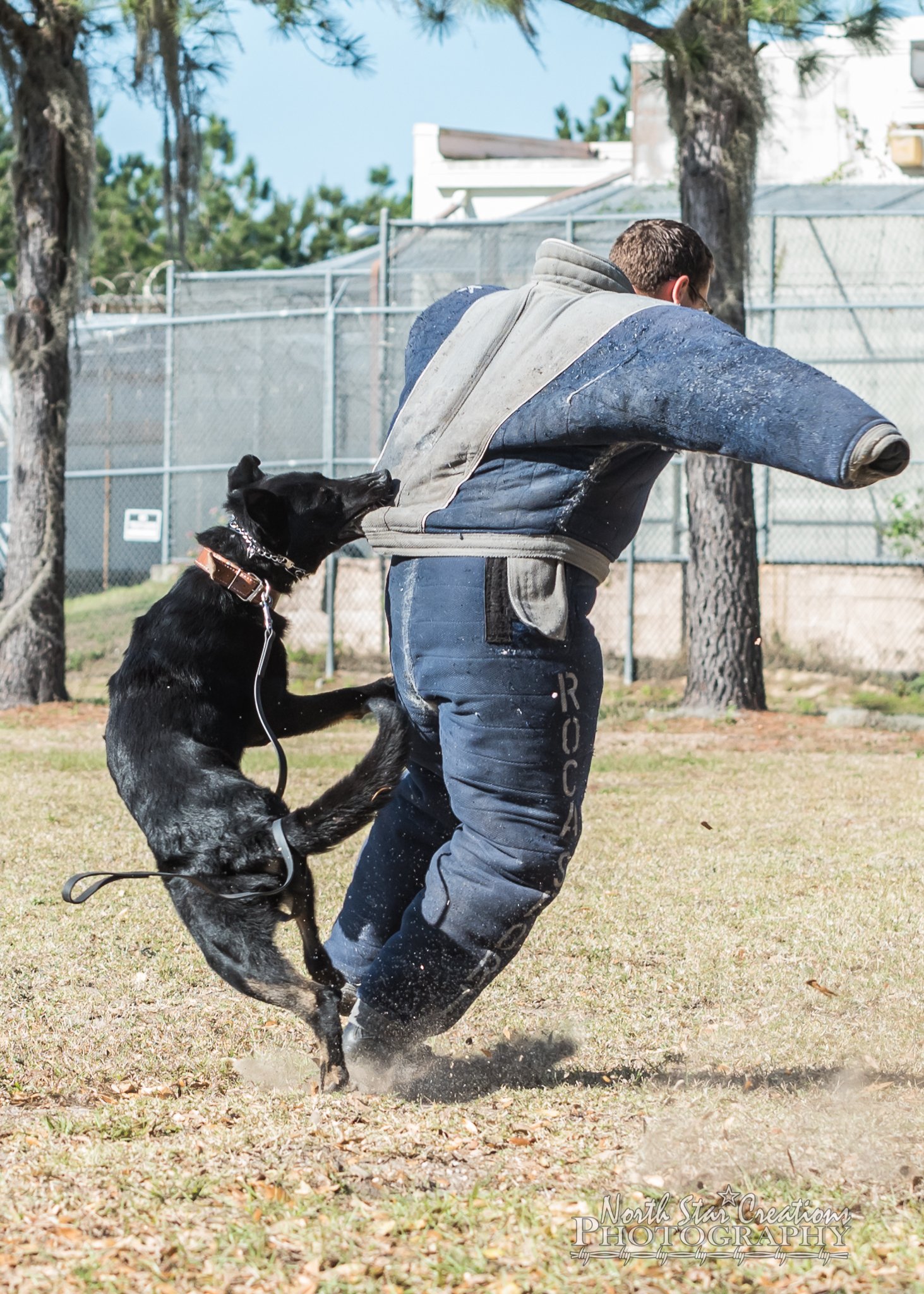 Polk County Sheriff Department K9 Training