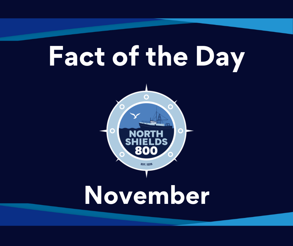 Fact of the Day - November
