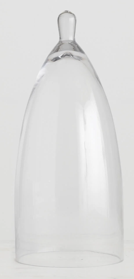 Clear Glass Cloche
