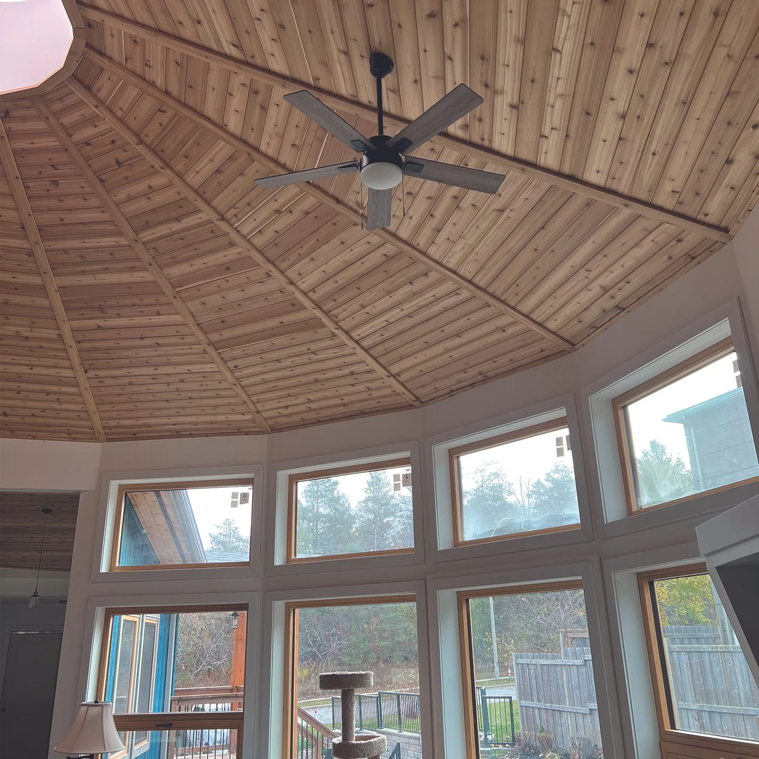 210 Paterson Ceiling