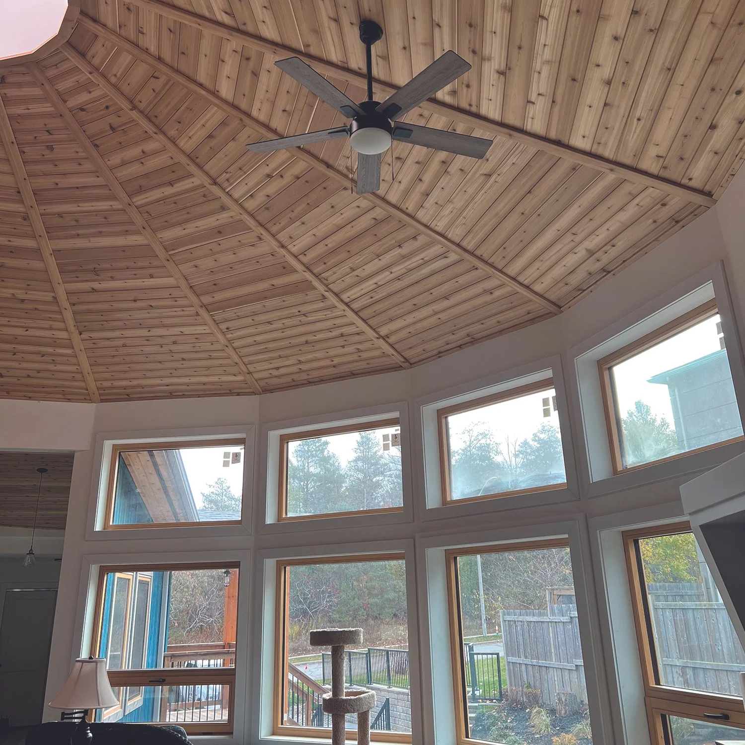 210 Paterson Ceiling