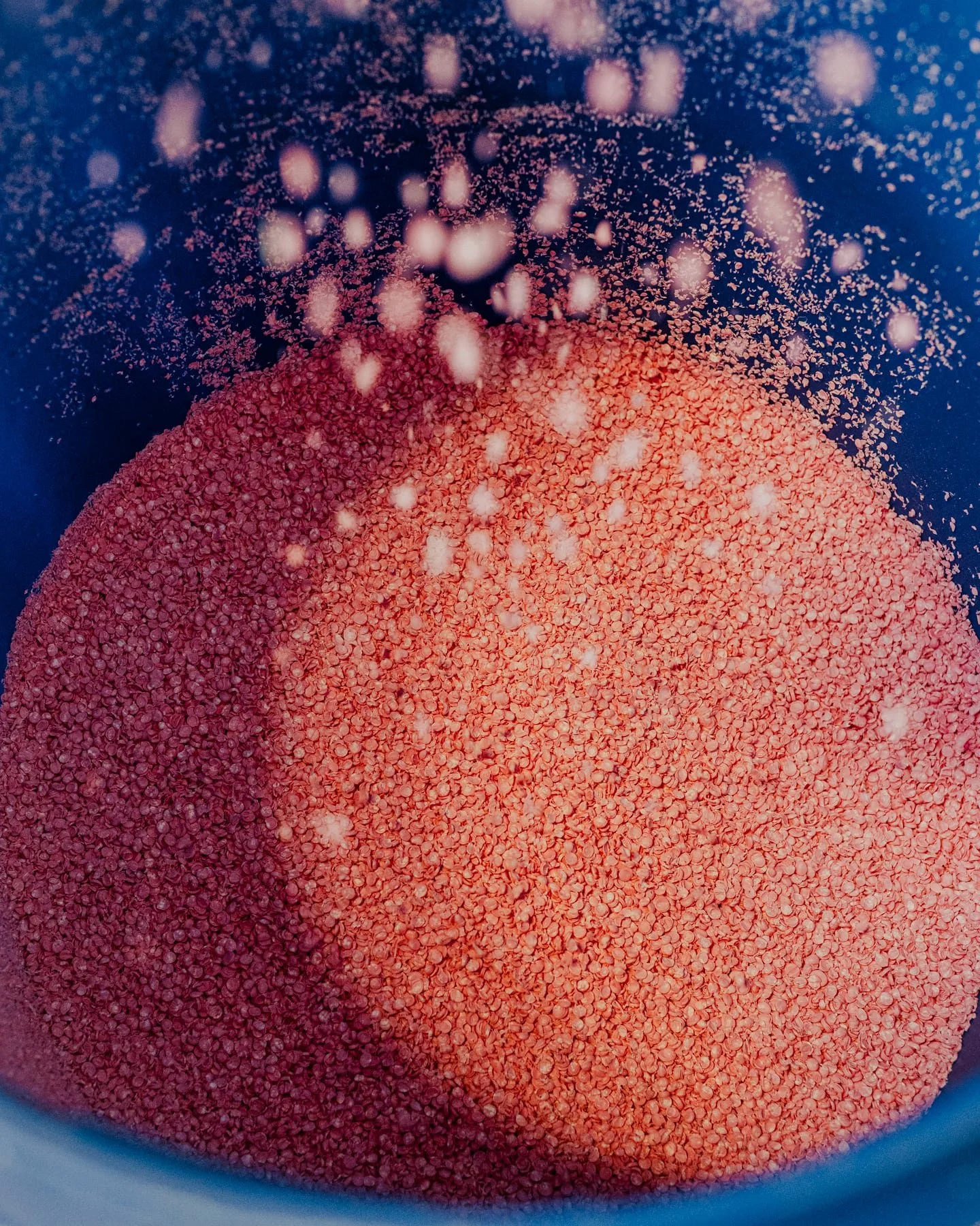 Bel Albatros | Editorial & Commercial