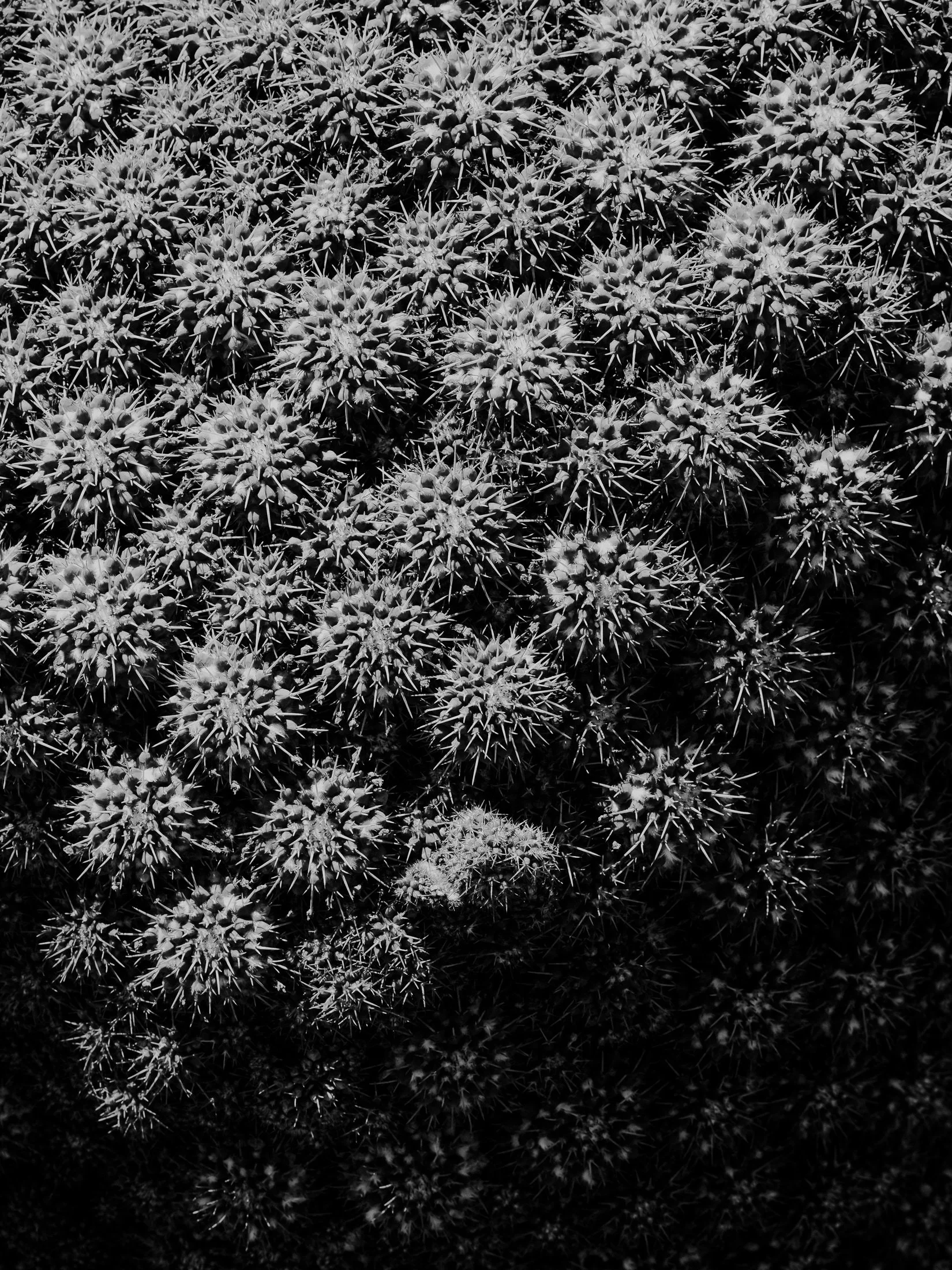 Photographe_Photographer_editorial_voyage_travel_documentary-architecture32.jpg