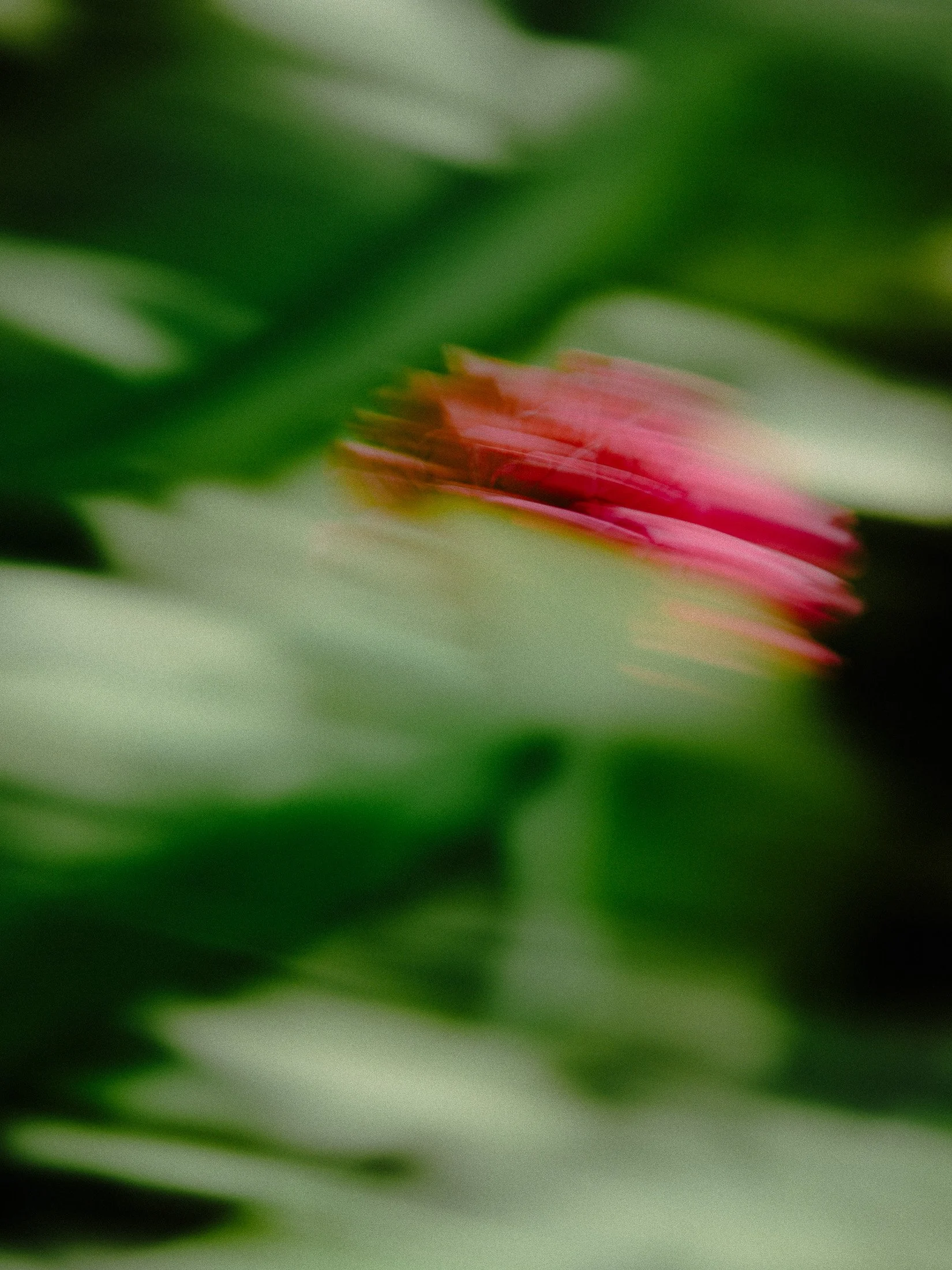 Photographer_architecture_photographe_bruxelles_brussels_documentary_travel-voyage-5.jpg