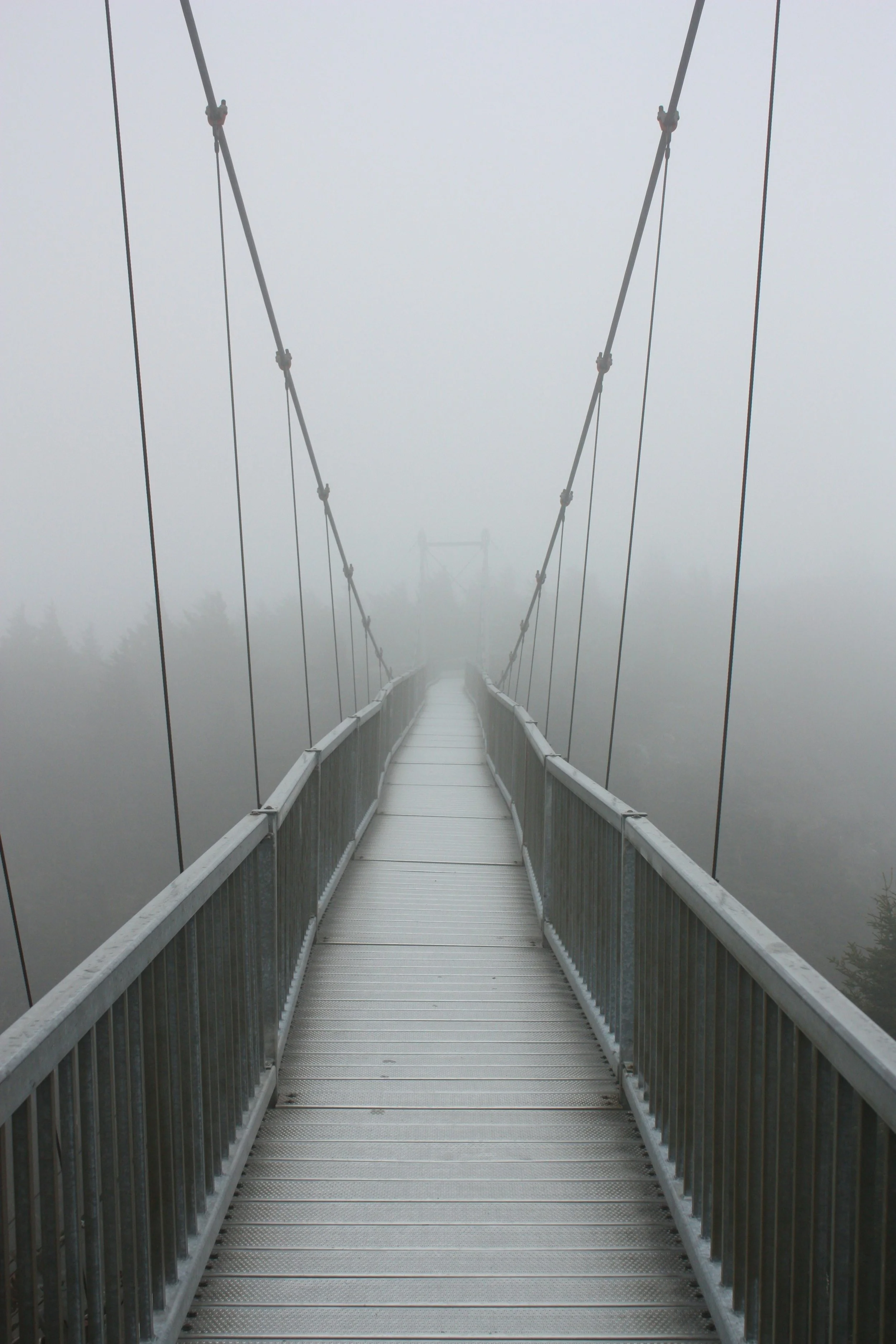 Iona’s Story: Persistent Hope - Navigating Through the Fog of DPDR