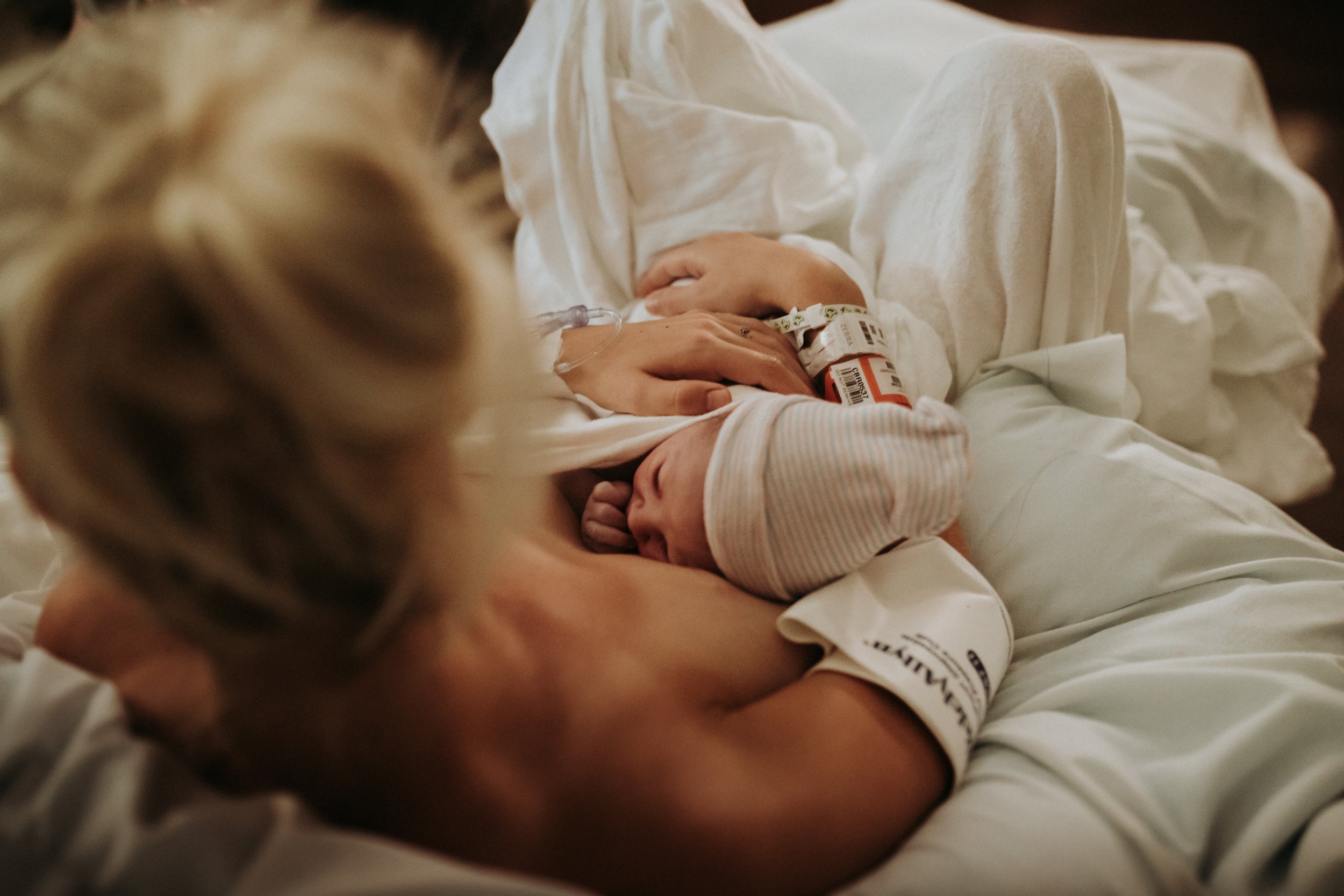 zillibirth-5982.jpg