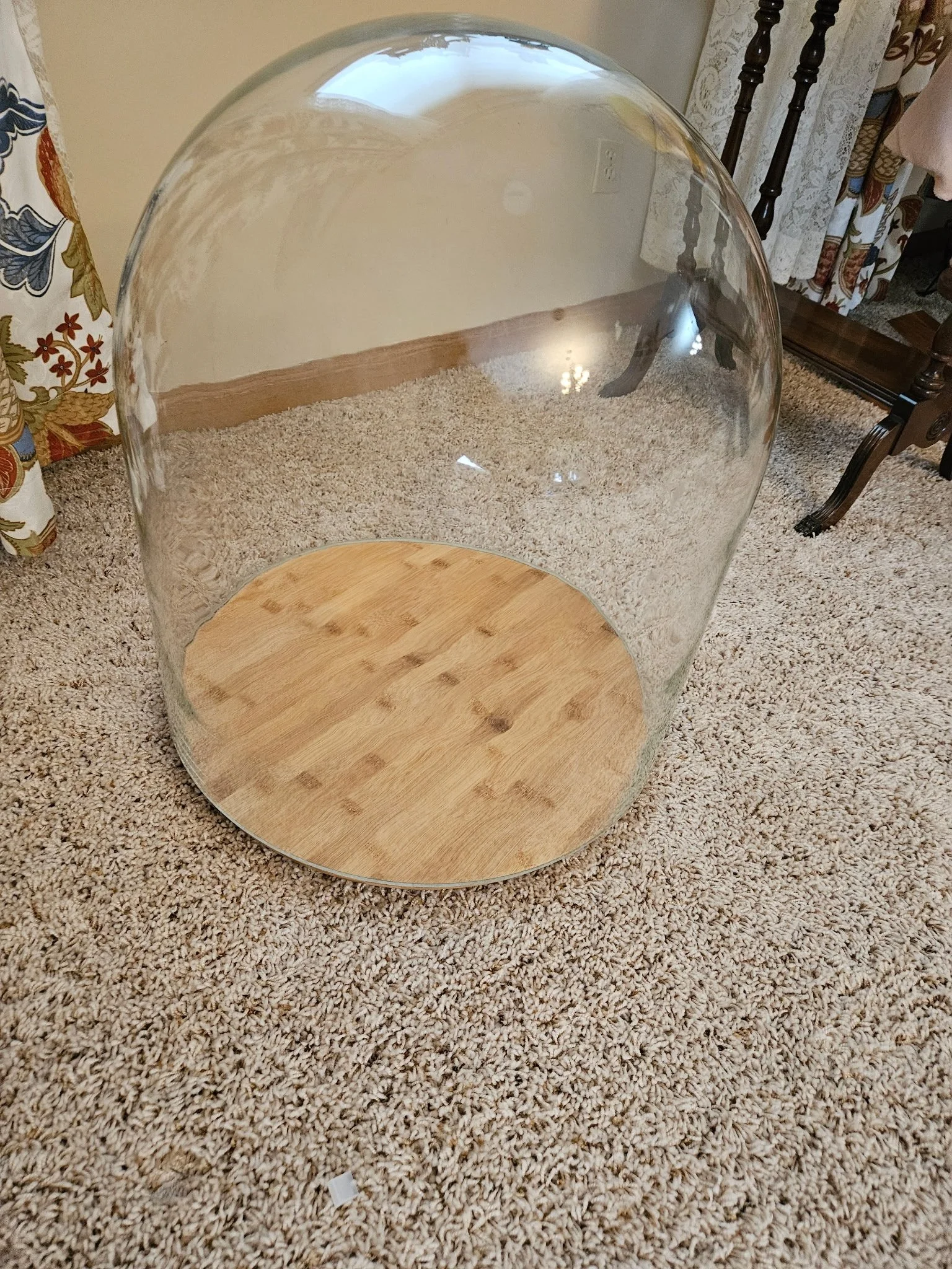 1000029190.JPG