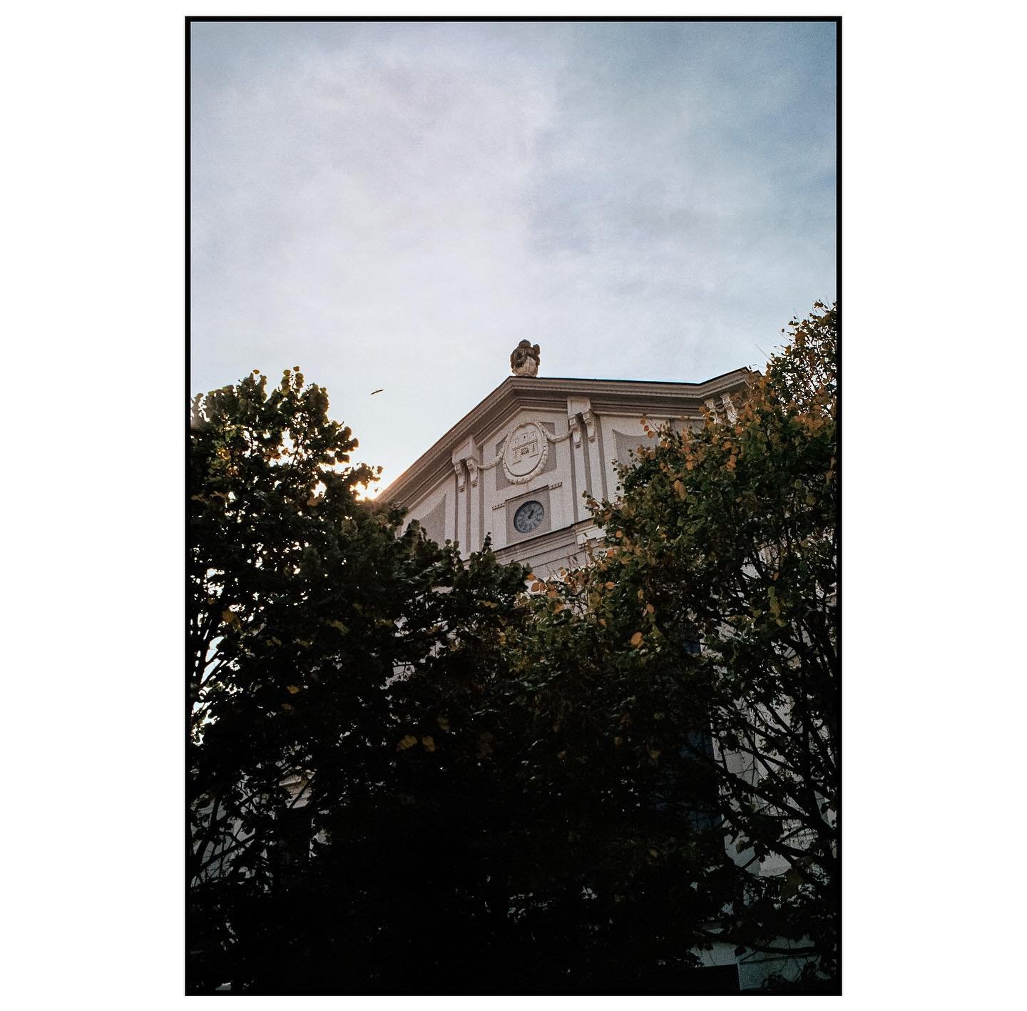 Bratislavské budovy a troška stromov :)) analógová miniséria na ocenenie miesta, kde som strávil 12 rokov života :)
📷 Pentax SP
🎞️ Kodak ColorPlus
#analogphotography #bratislava #streetphotography #urbanp