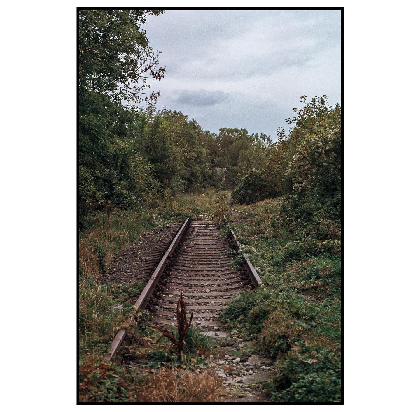 Občas len máte pocit, že to chcete cvaknúť.
📷 Pentax Spotmatic SP
🎞️ Kodak ColorPlus
#35mmfilm #bratislava #analogphotography #randomphoto #colorplus #pentax