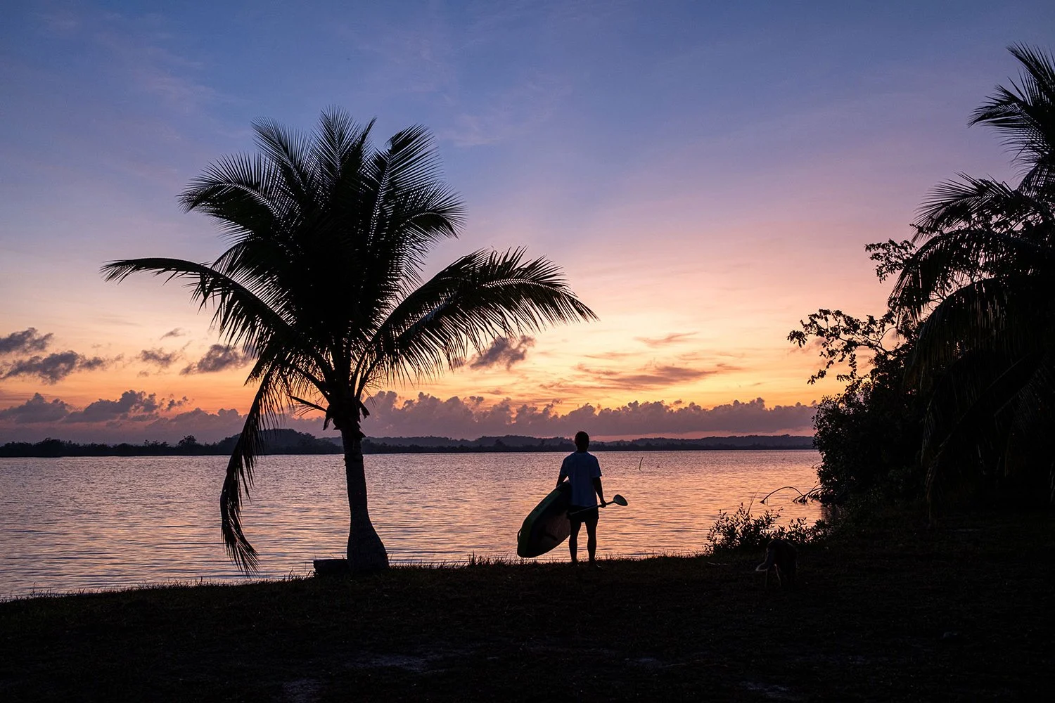 GALLERY 03.2 (8).jpg