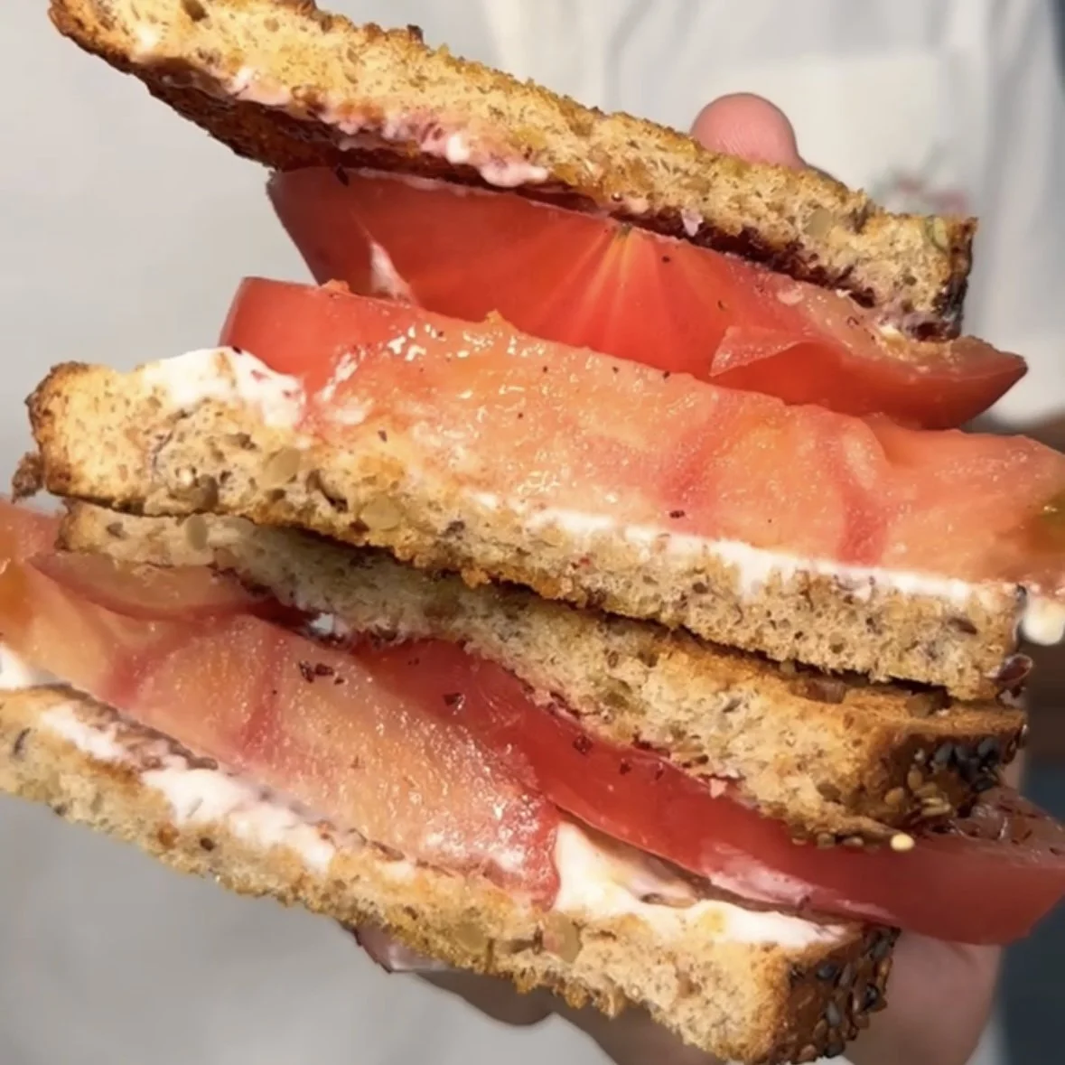 Tomato Toum Sumac Sandwich