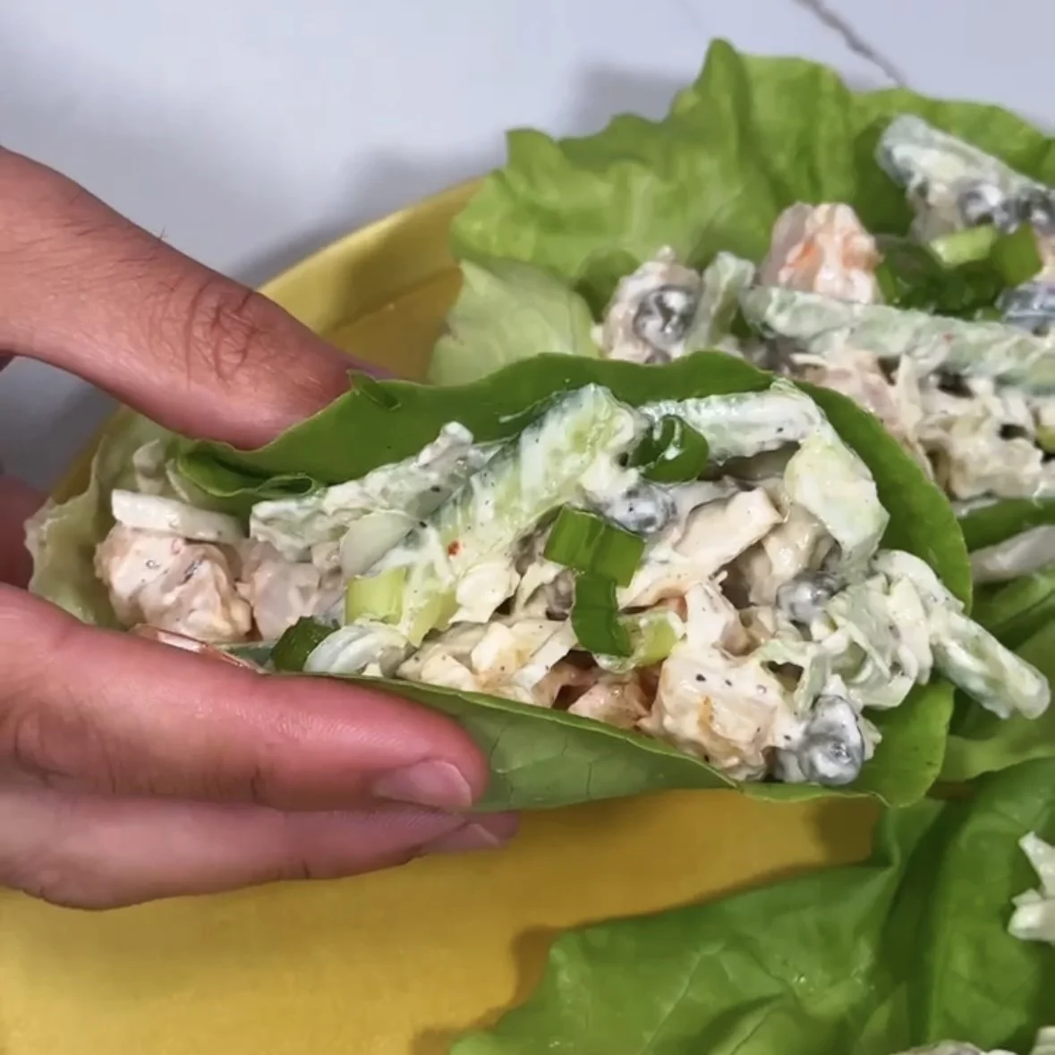 Shrimp Salad