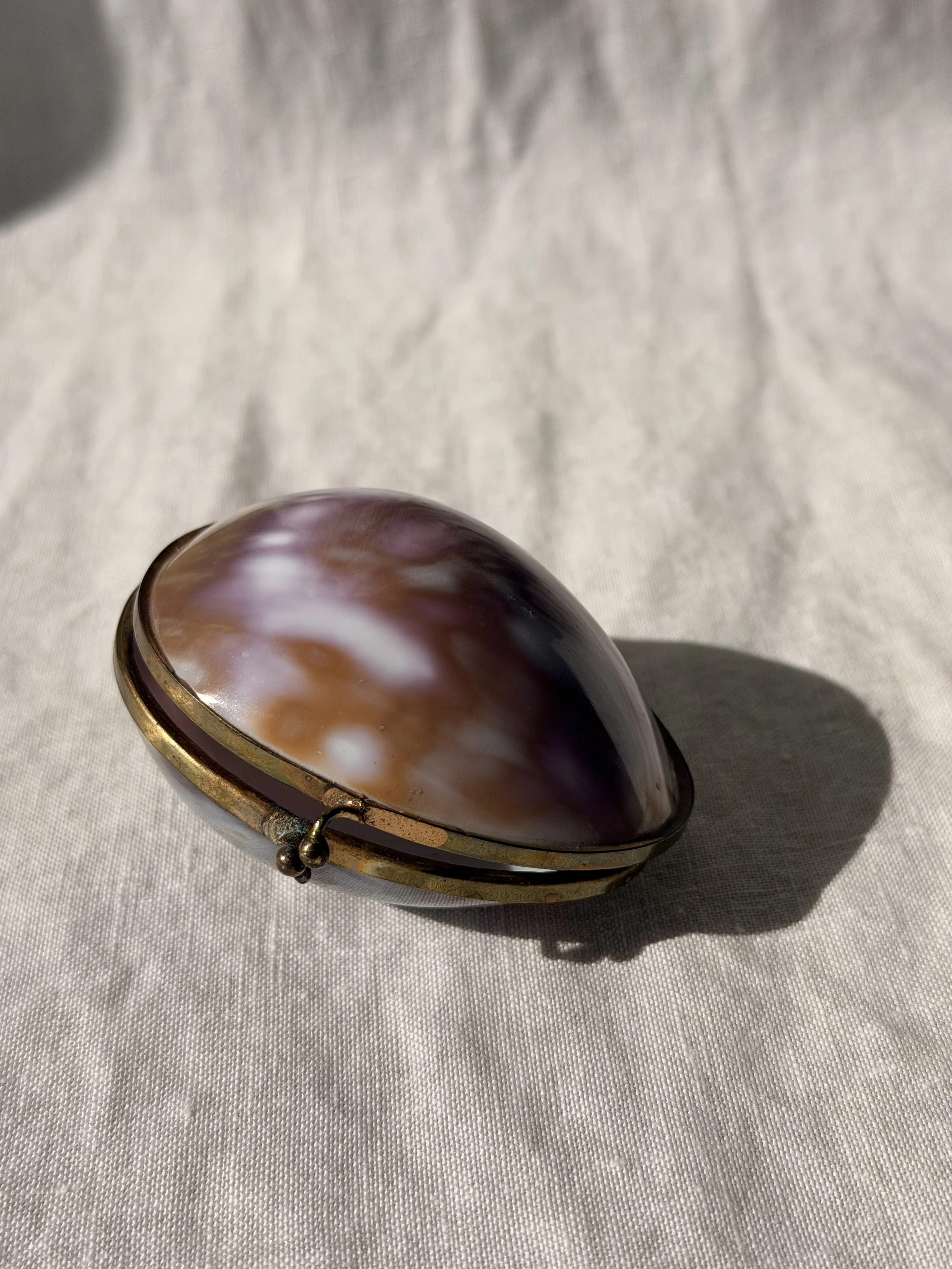 Egg Shaped Shell Case