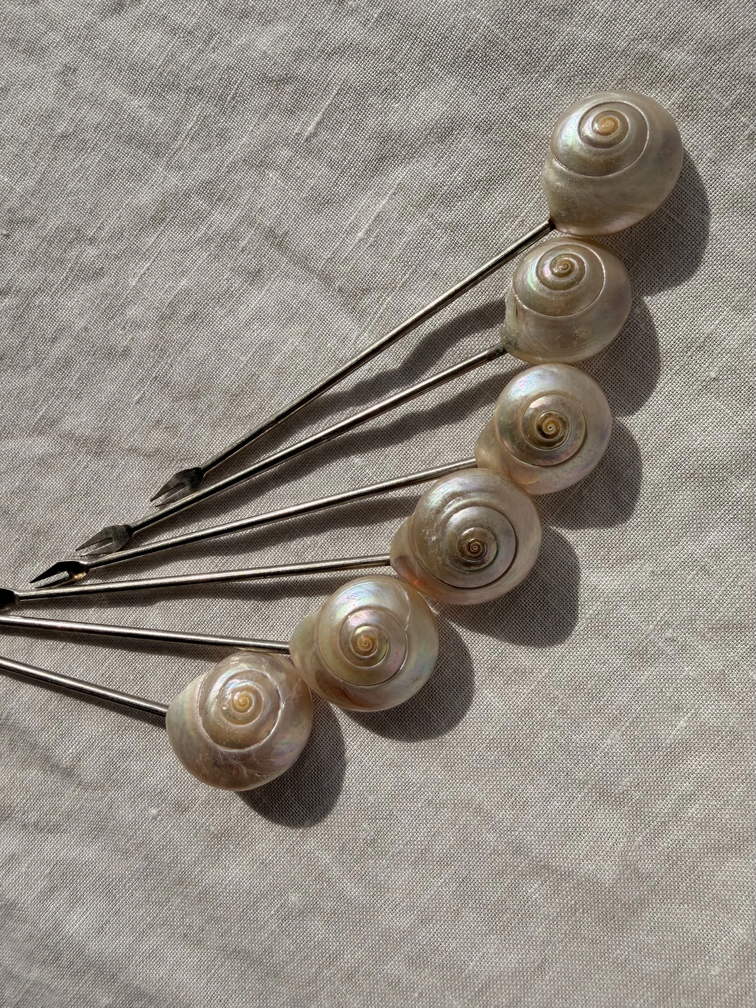 Natural Shell Cocktail Picks