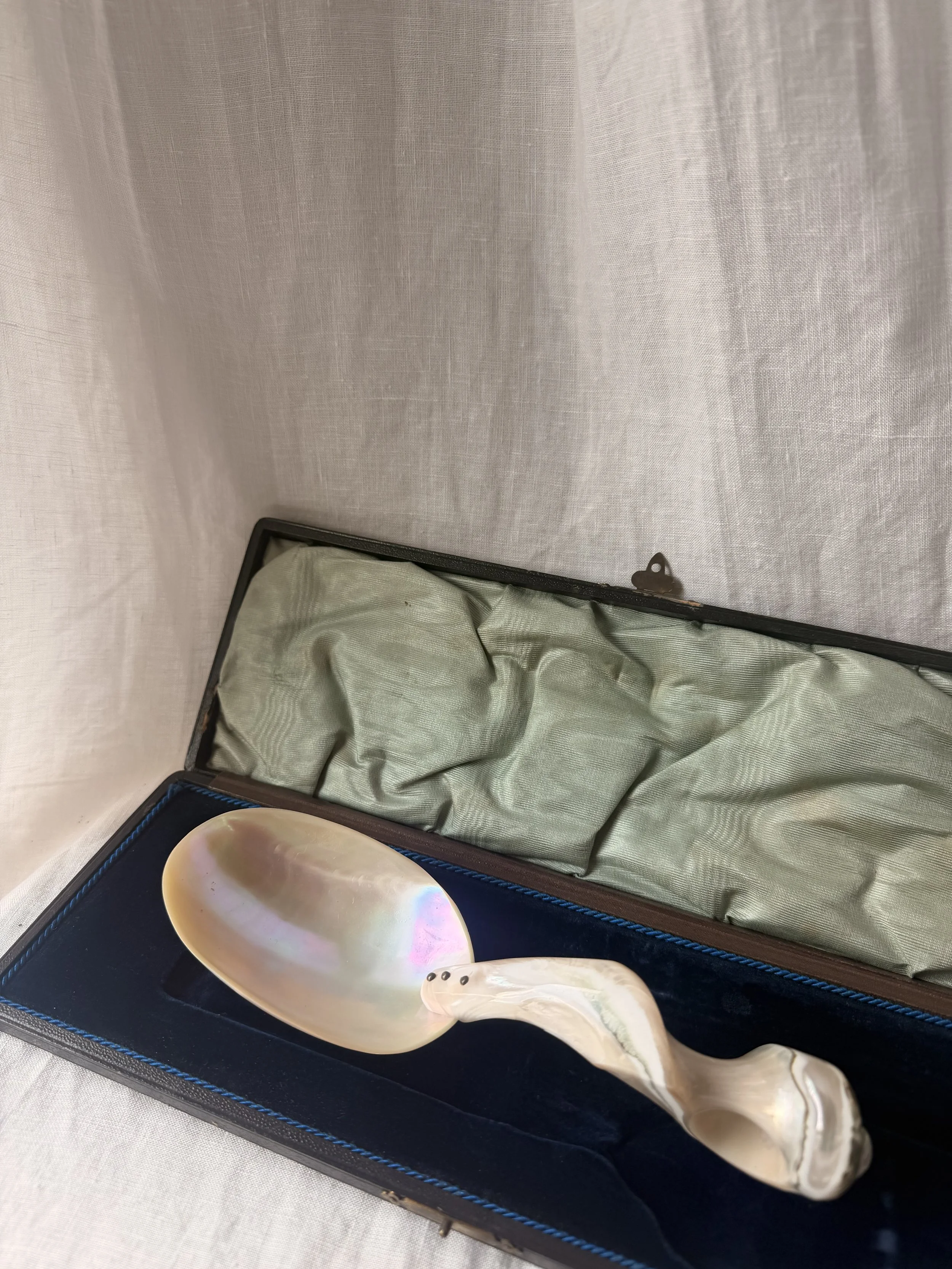 Large Natural Mother of Pearl Serving Spoon